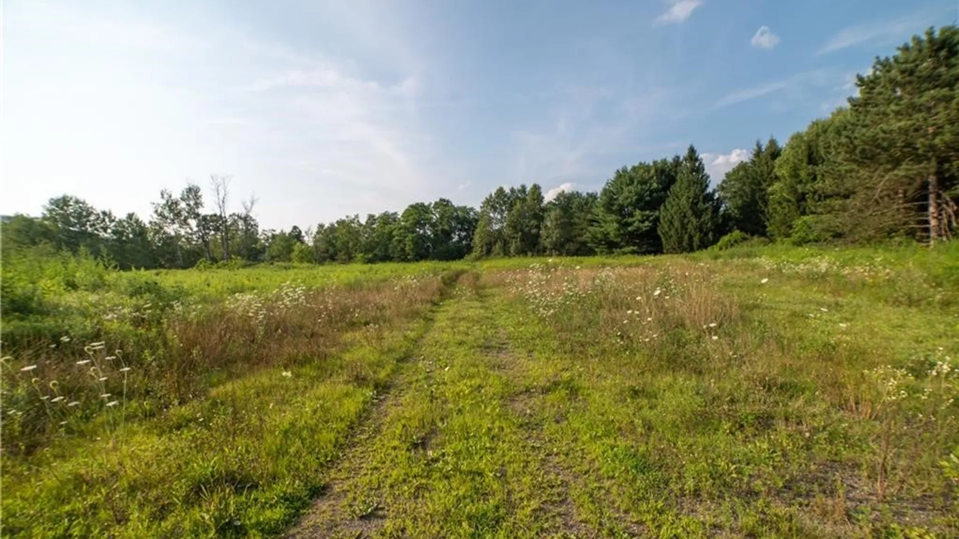 Property at 769 County Highway 1, Unadilla, NY 13809 4