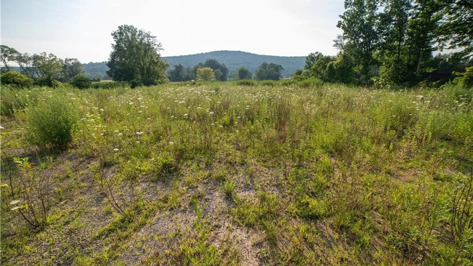 Property at 769 County Highway 1, Unadilla, NY 13809 10