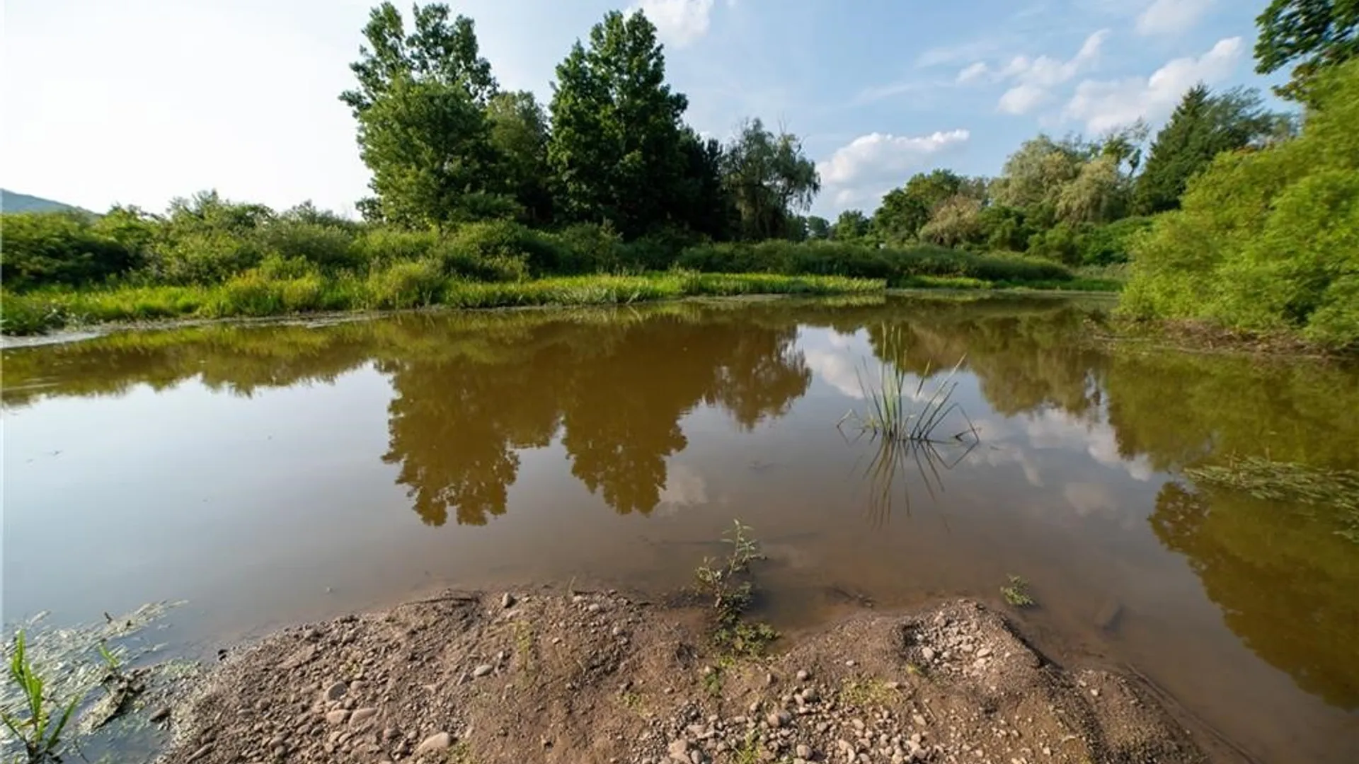 Property at 769 County Highway 1, Unadilla, NY 13809 29