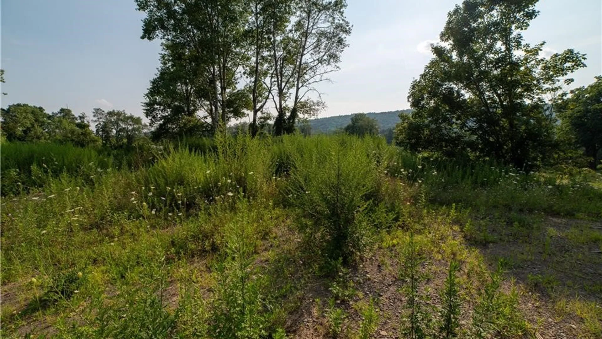 Property at 769 County Highway 1, Unadilla, NY 13809 32