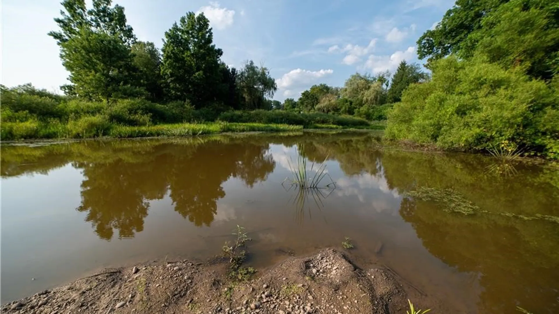 Property at 769 County Highway 1, Unadilla, NY 13809 33