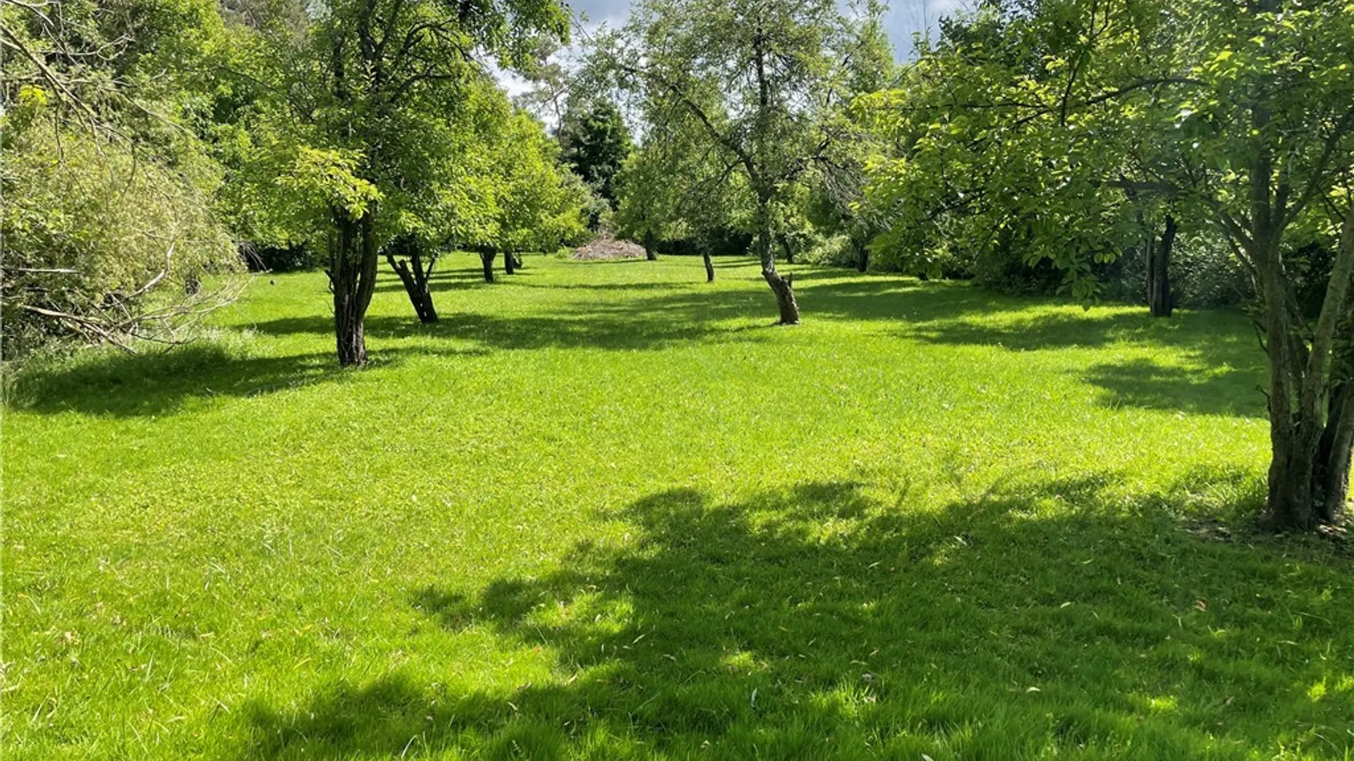 Property at 5750 & 5760 Seneca Street, Elma, NY 14059 7