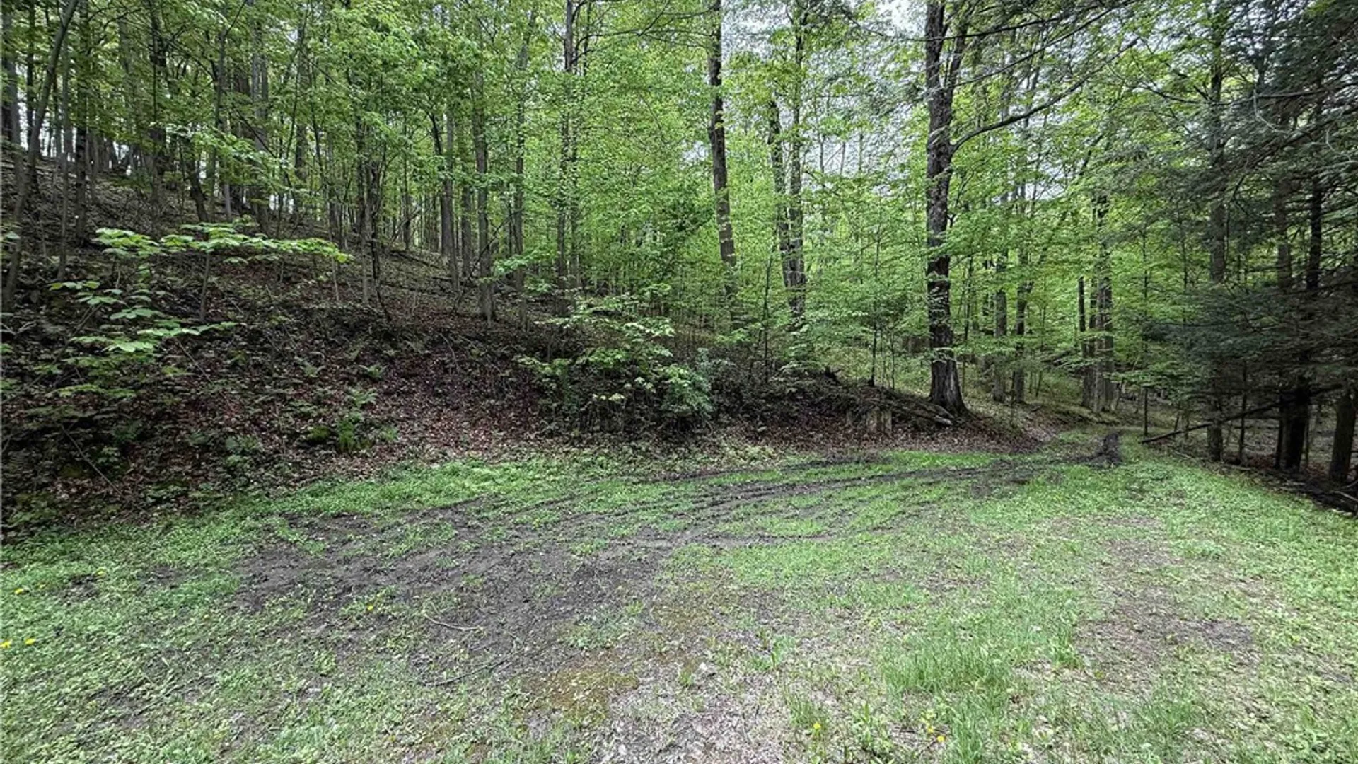 Property at 3304 Co Rd 22, Cameron, NY 14820 21