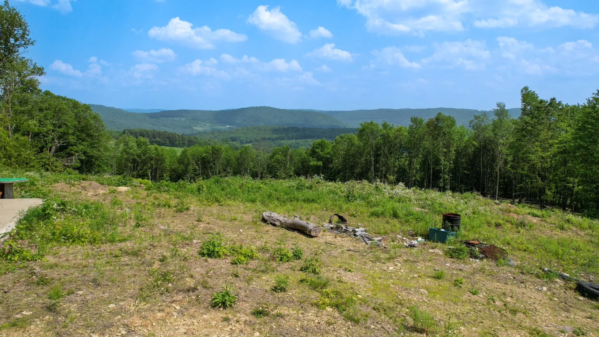 Property at 188 Cheese Factory Rd, Deposit, NY 13754 9