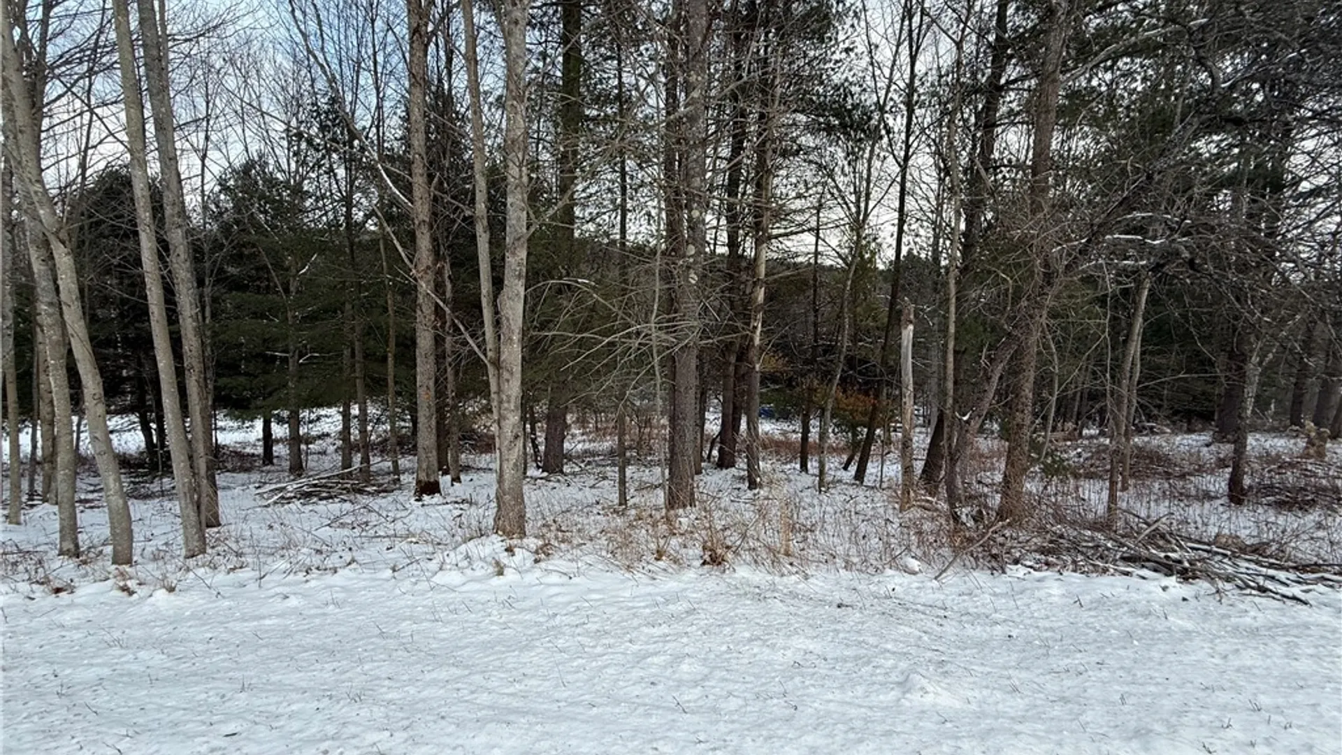 Property at 224 Foster Road, Vestal, NY 13850 2