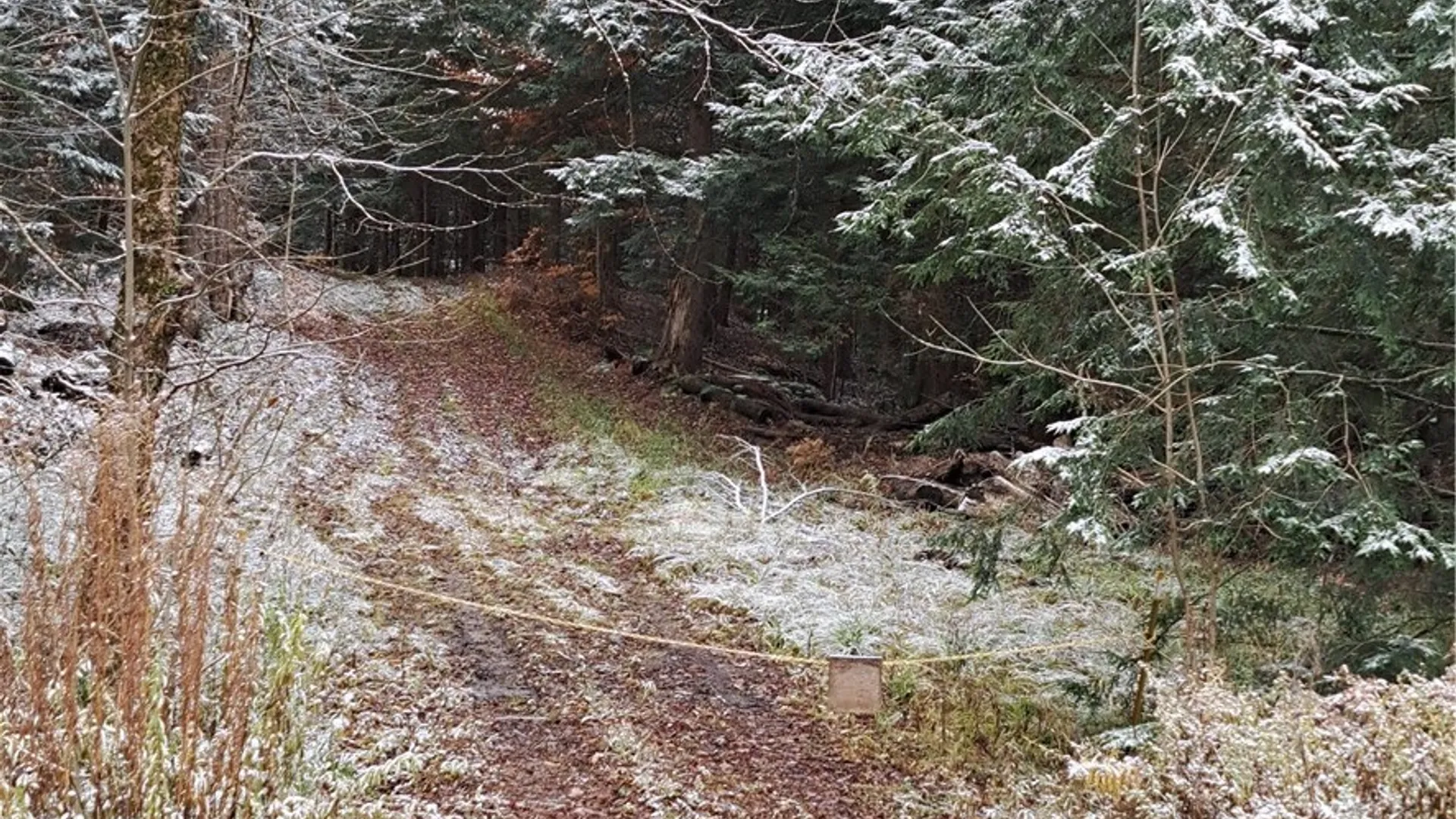 Property at 0 County Route 17a, Amboy, NY 13493 2