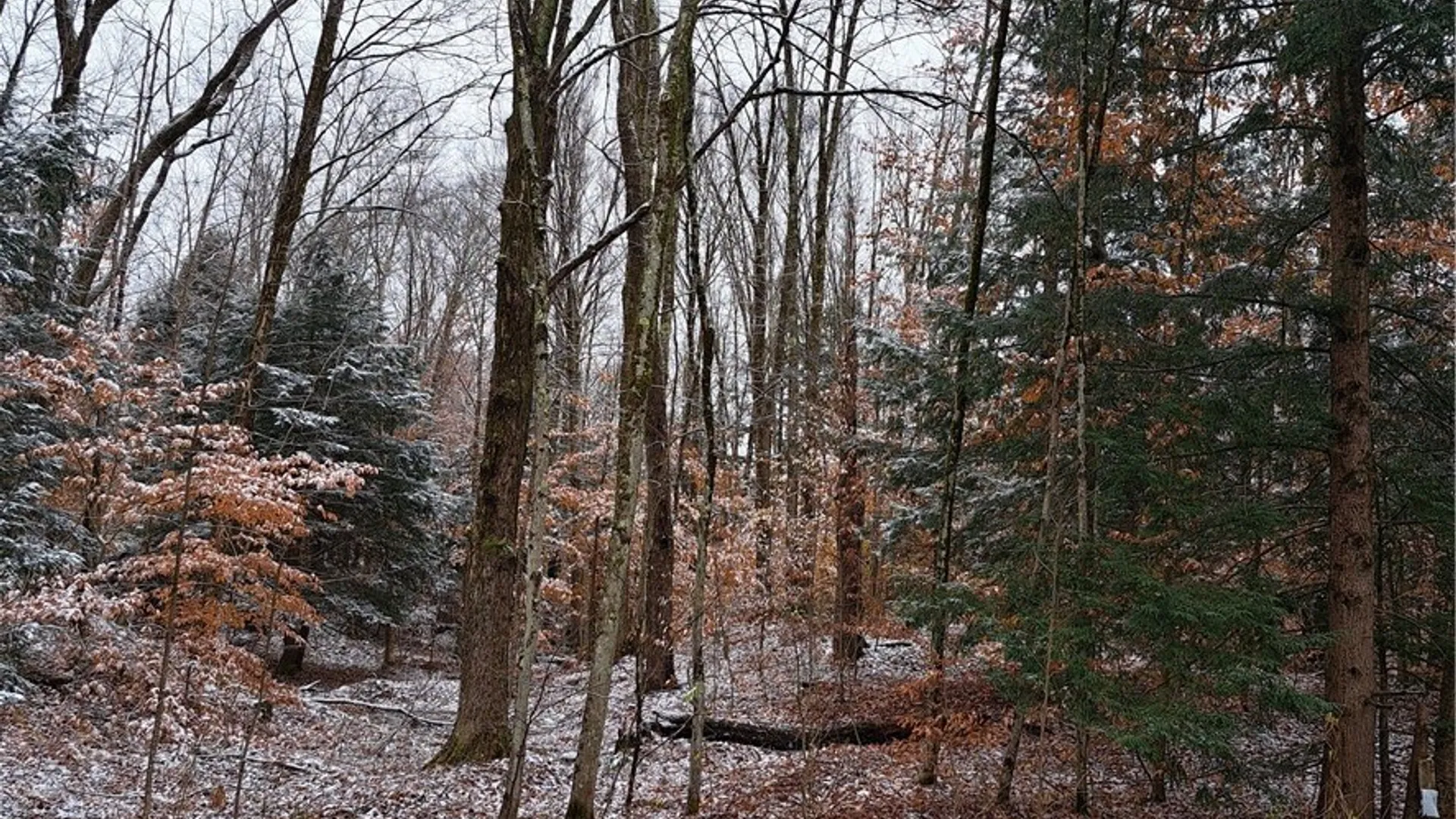 Property at 0 County Route 17a, Amboy, NY 13493 3