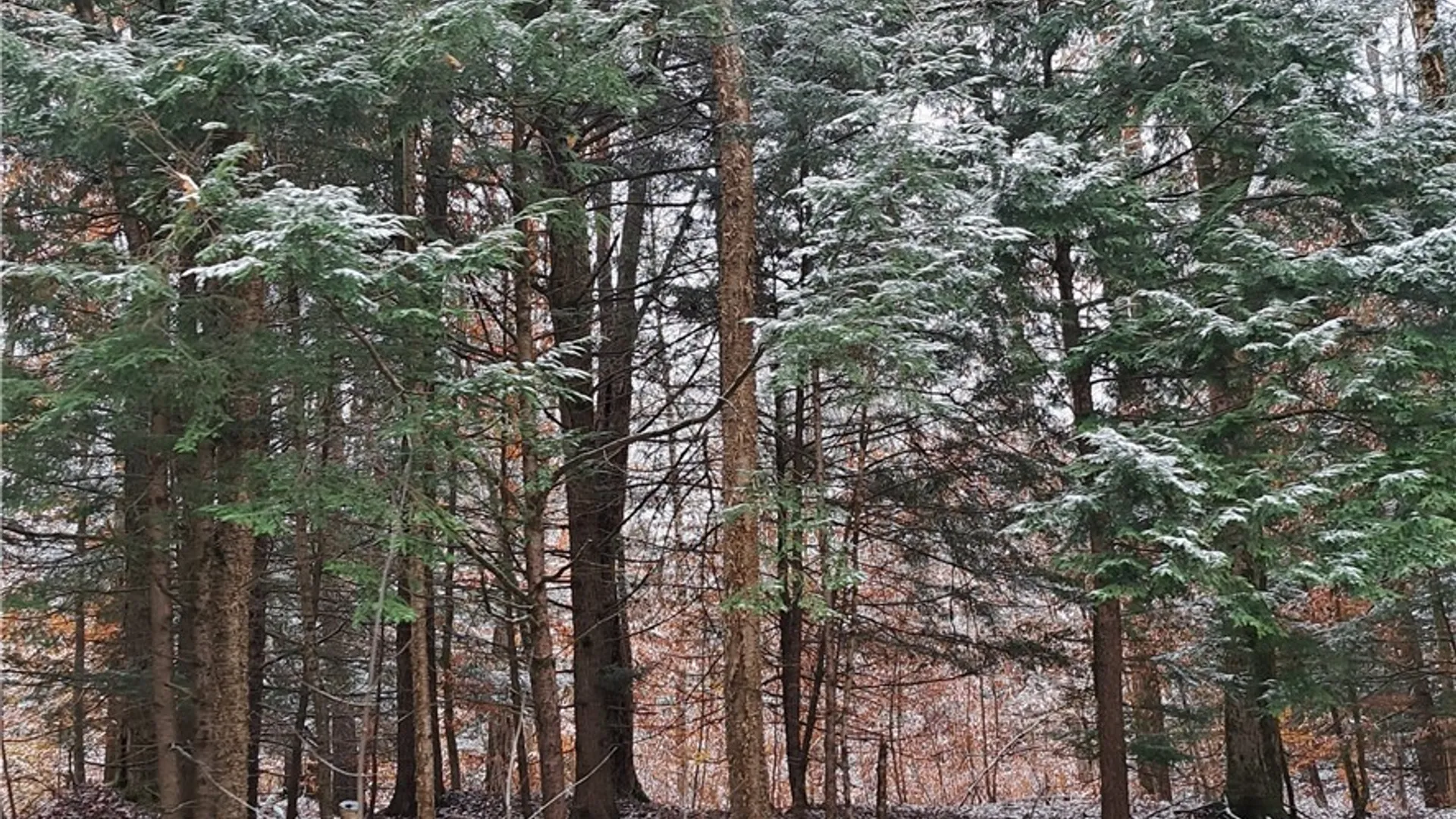 Property at 0 County Route 17a, Amboy, NY 13493 4