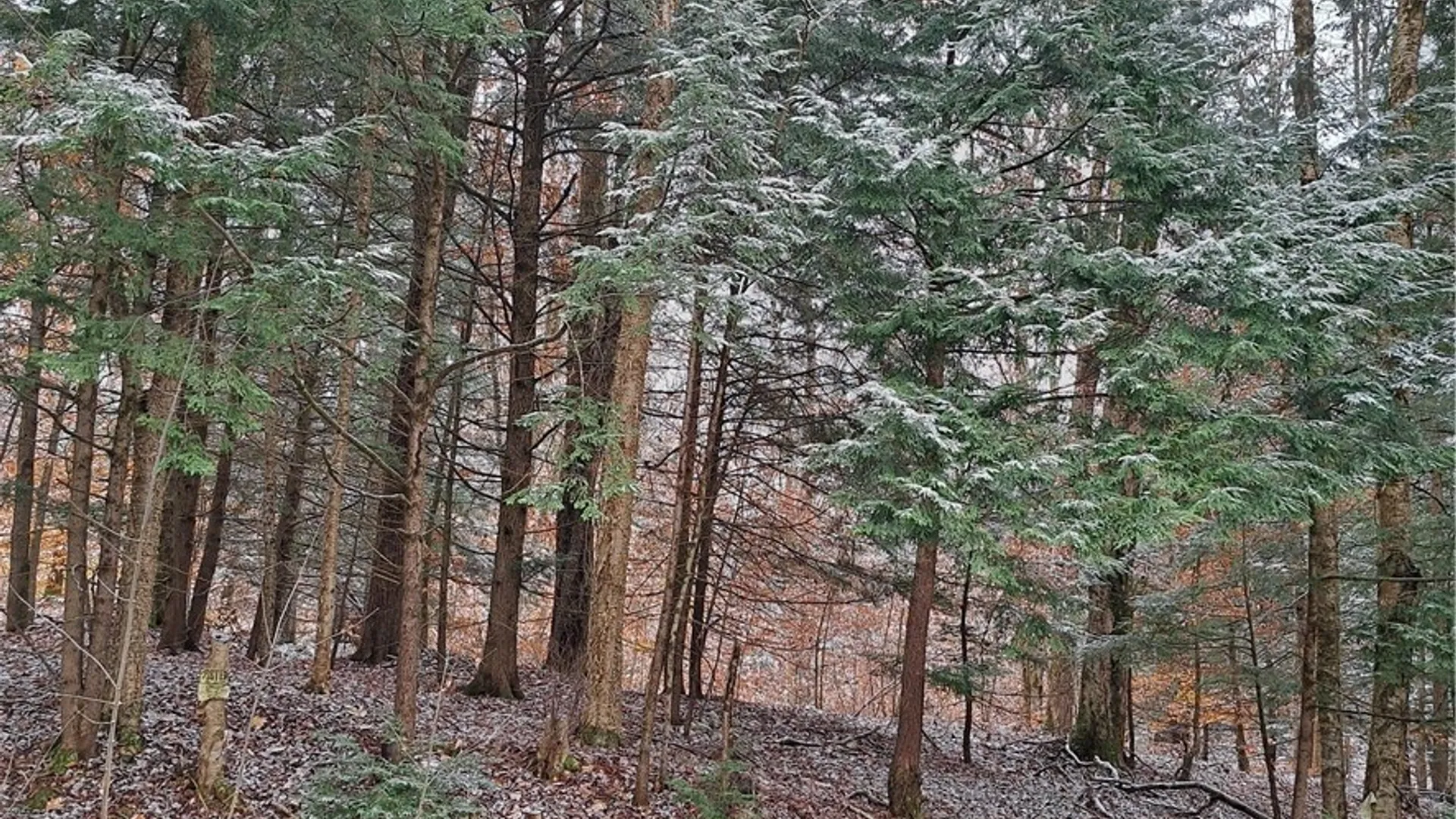 Property at 0 County Route 17a, Amboy, NY 13493 5