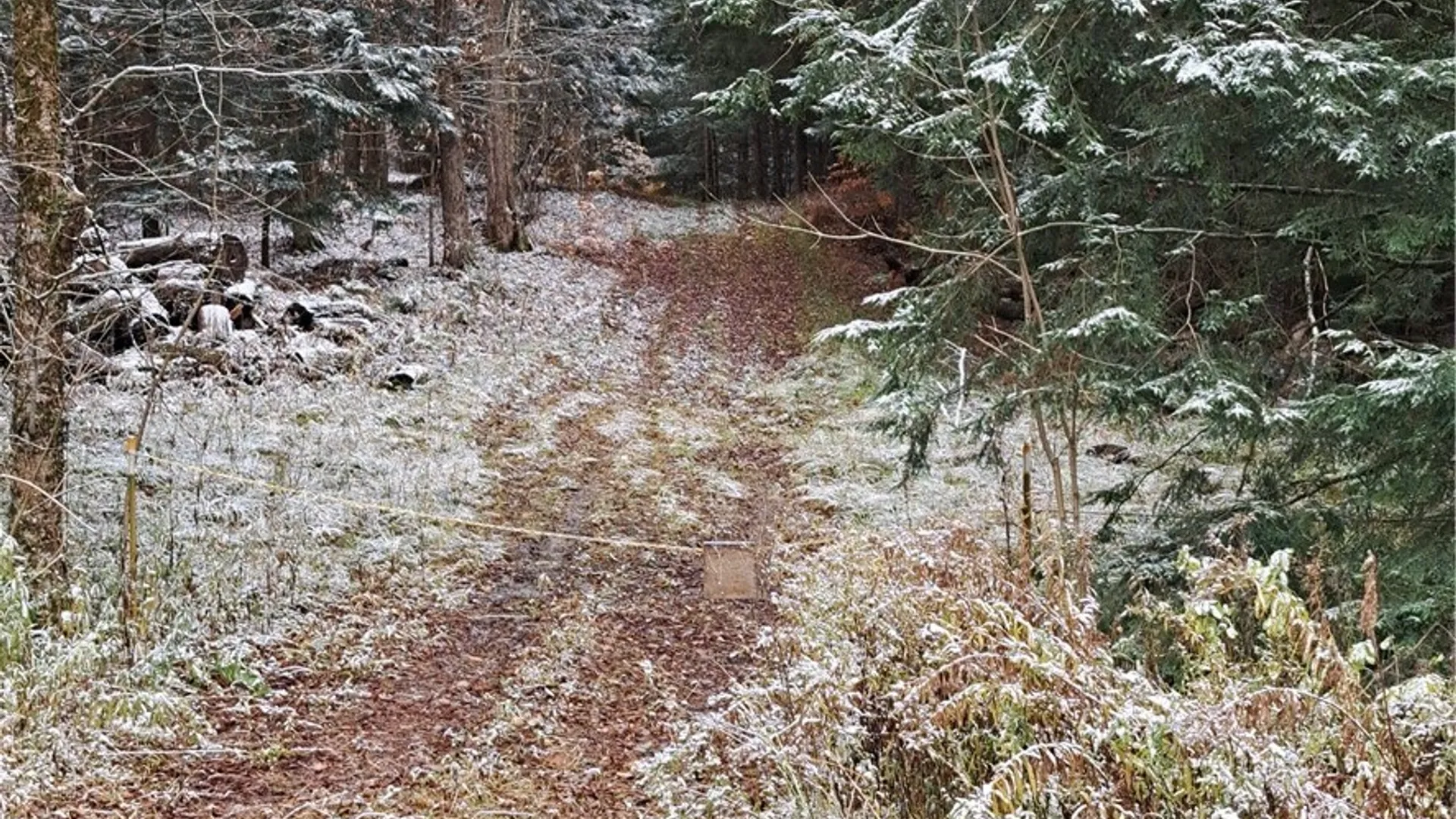 Property at 0 County Route 17a, Amboy, NY 13493 6