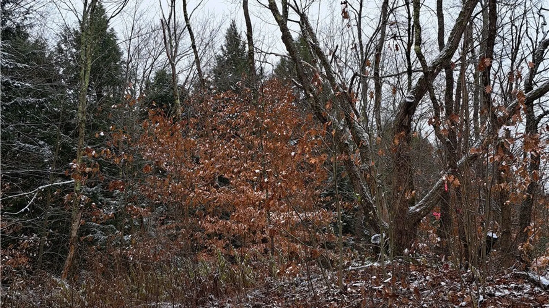 Property at 0 County Route 17a, Amboy, NY 13493 7