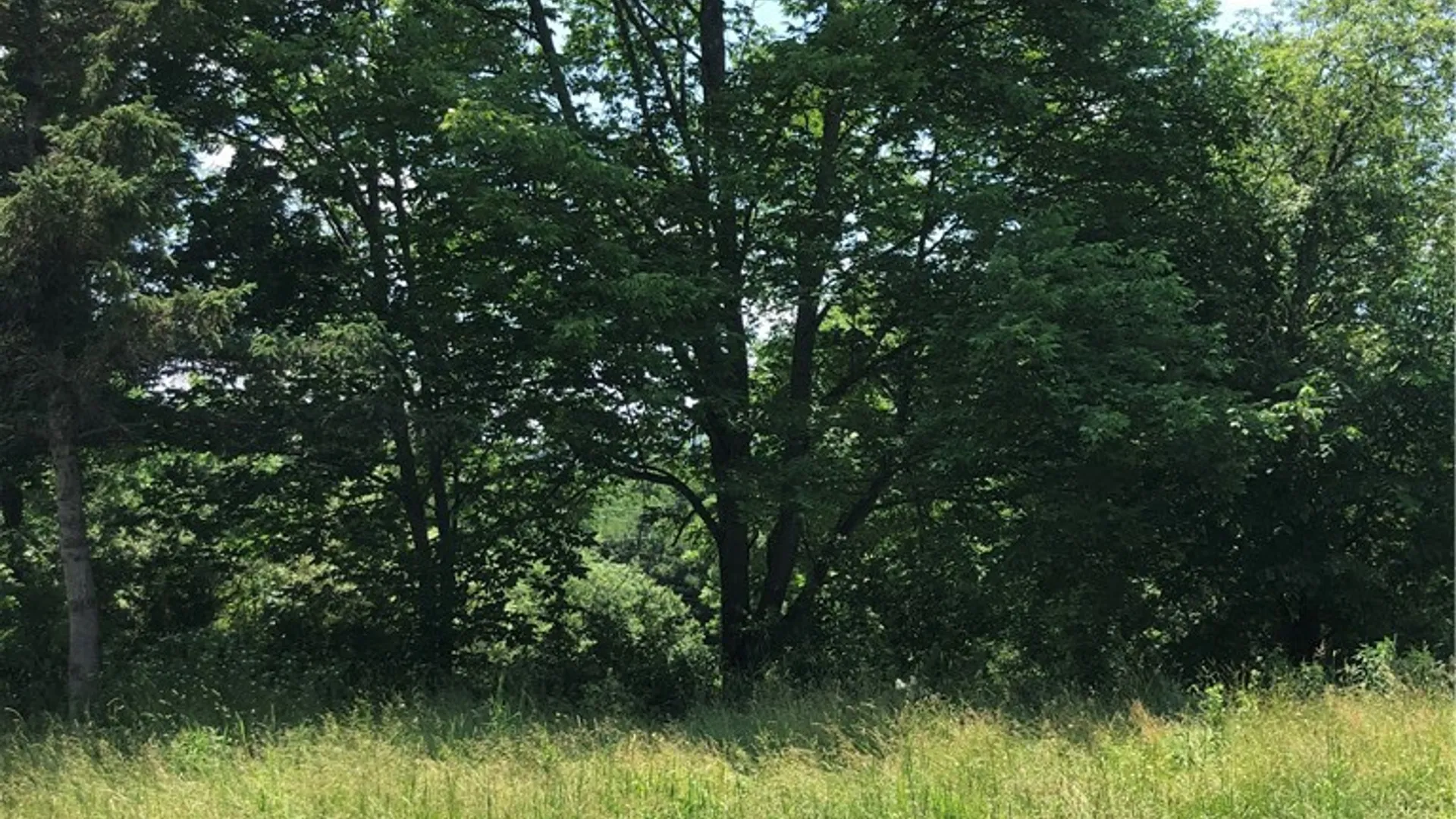 Property at 2171 County Highway 8, Otego, NY 13825 9