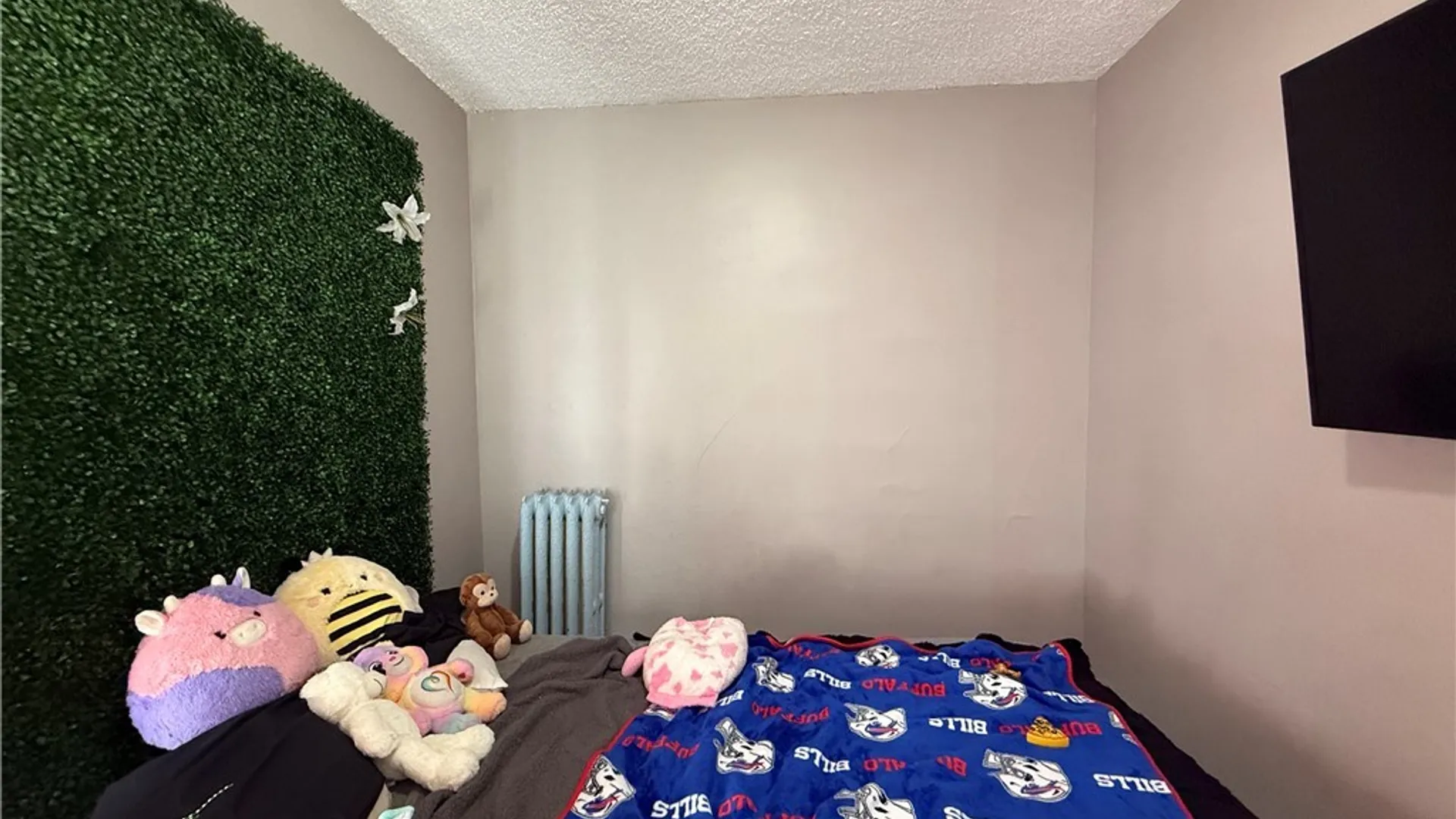 Property at 65 Hunt Avenue, Buffalo, NY 14207 11