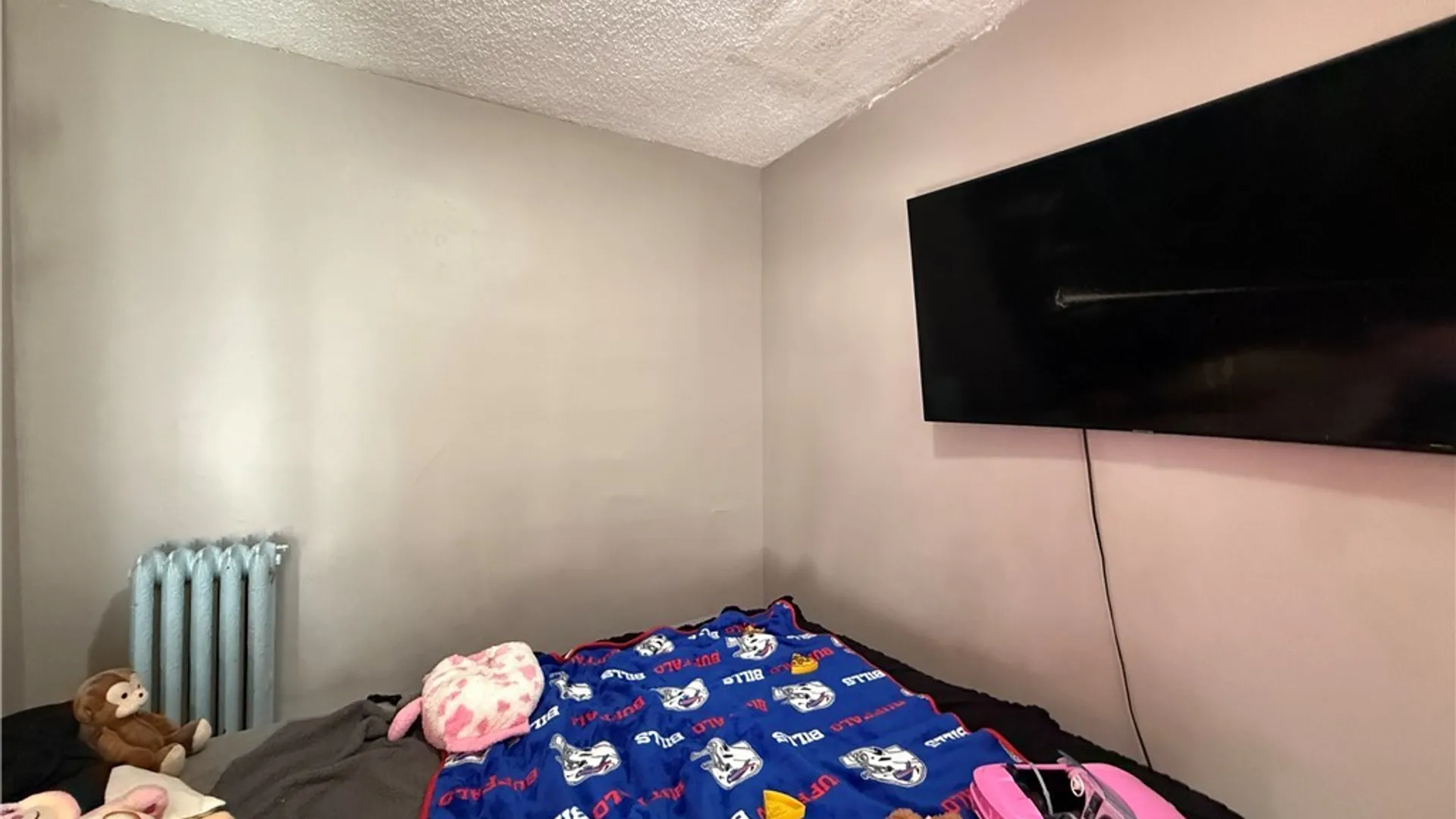 Property at 65 Hunt Avenue, Buffalo, NY 14207 12