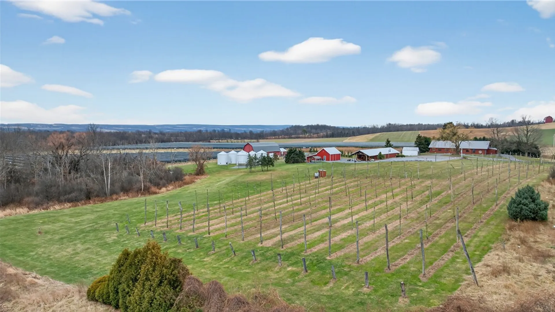 Property at 511 Hansen Point Road, Torrey, NY 14527 12
