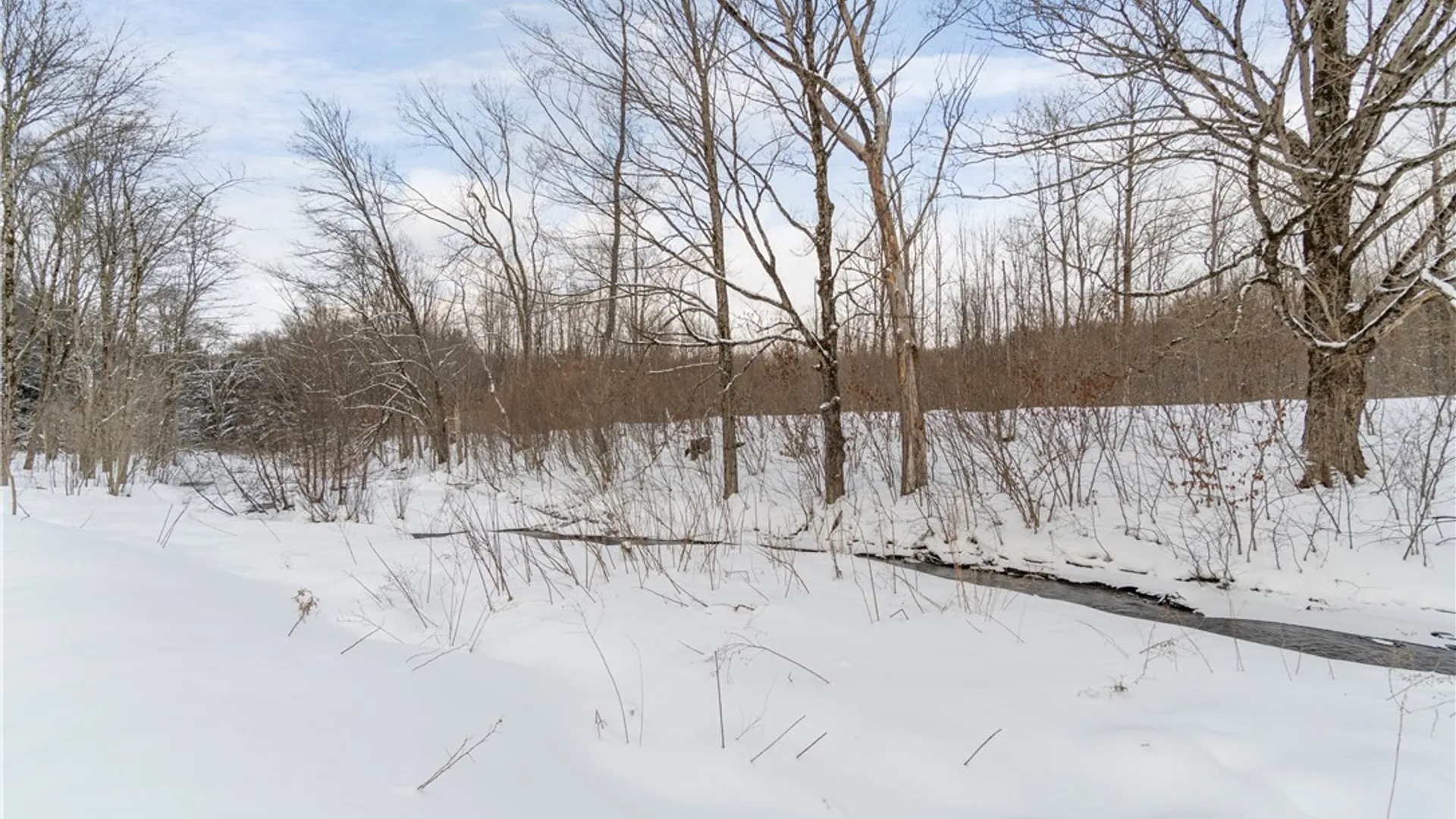 Property at 88 Case Road, Williamstown, NY 13493 24