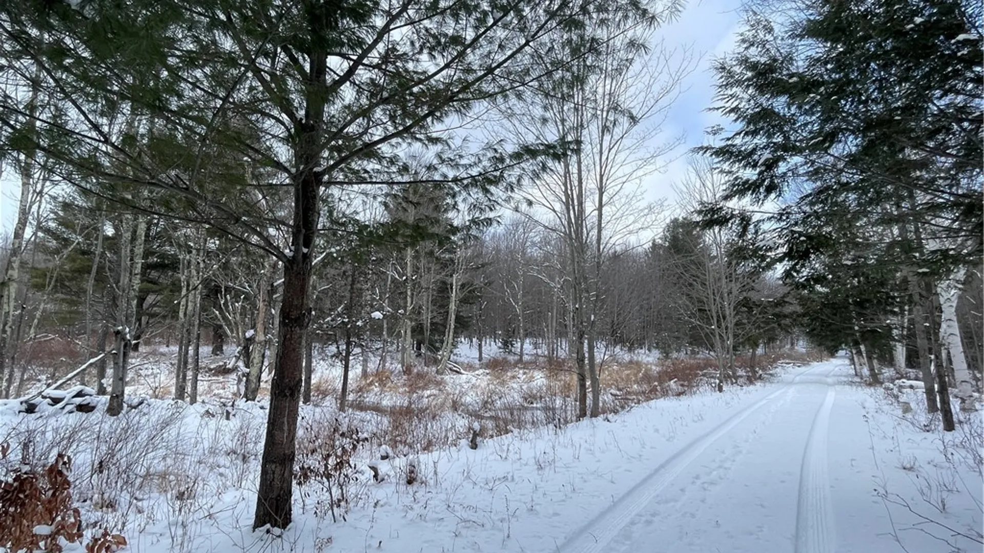 Property at State Route 10, Jefferson, NY 12093 10