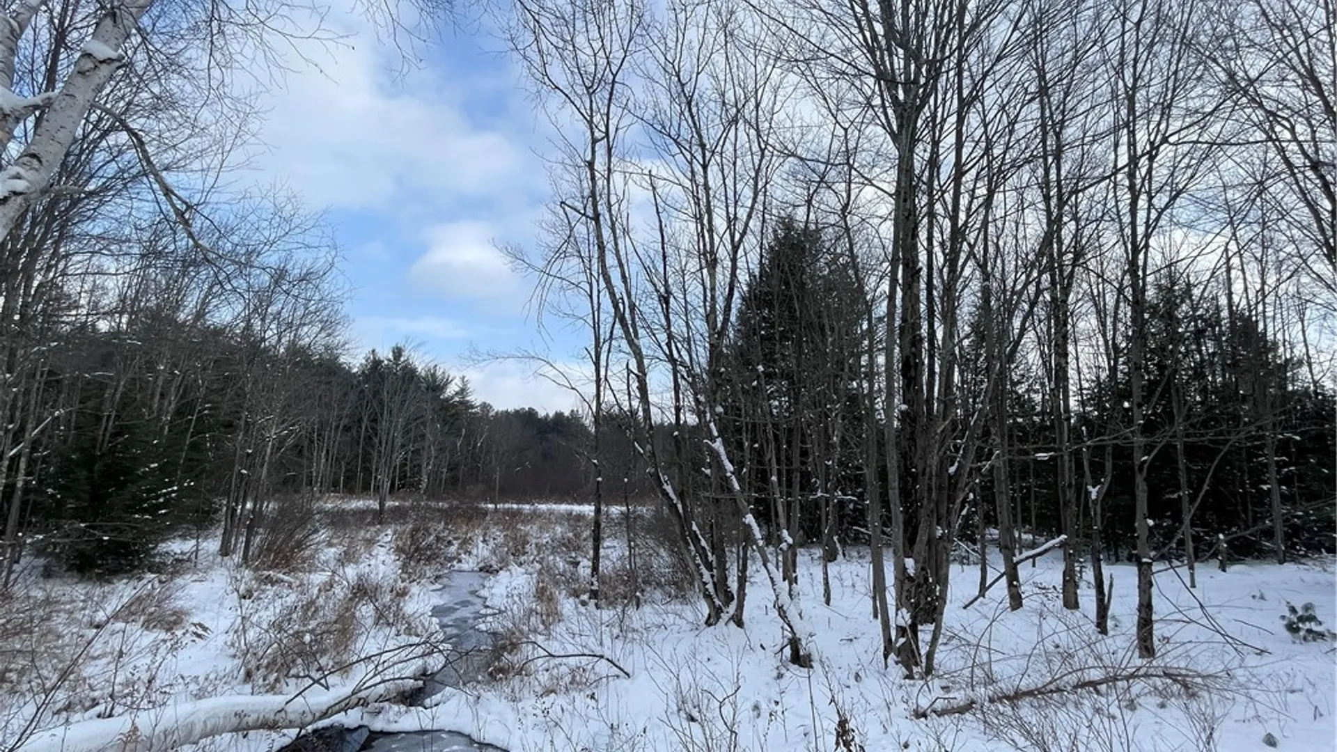 Property at State Route 10, Jefferson, NY 12093 11