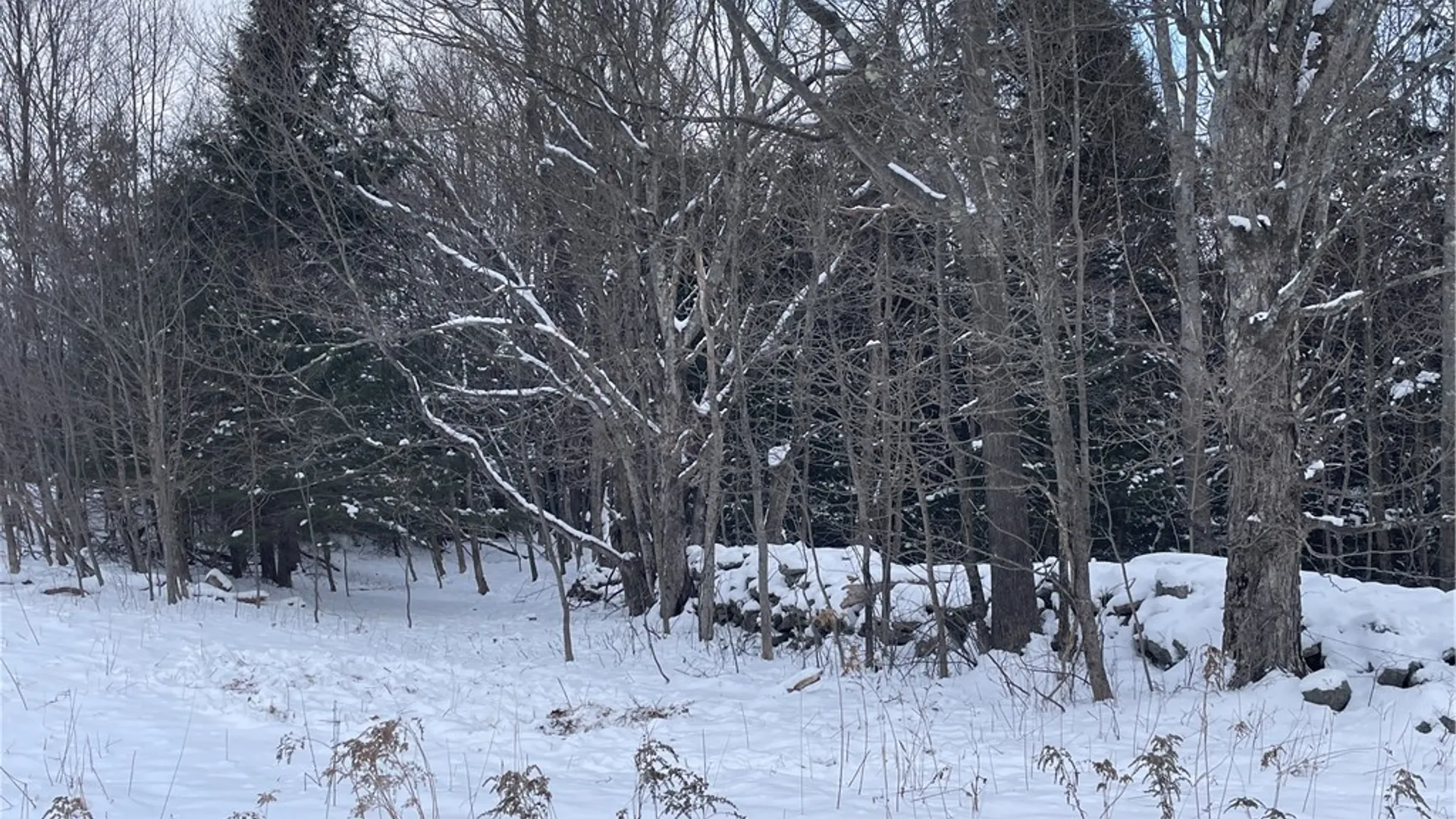 Property at State Route 10, Jefferson, NY 12093 12