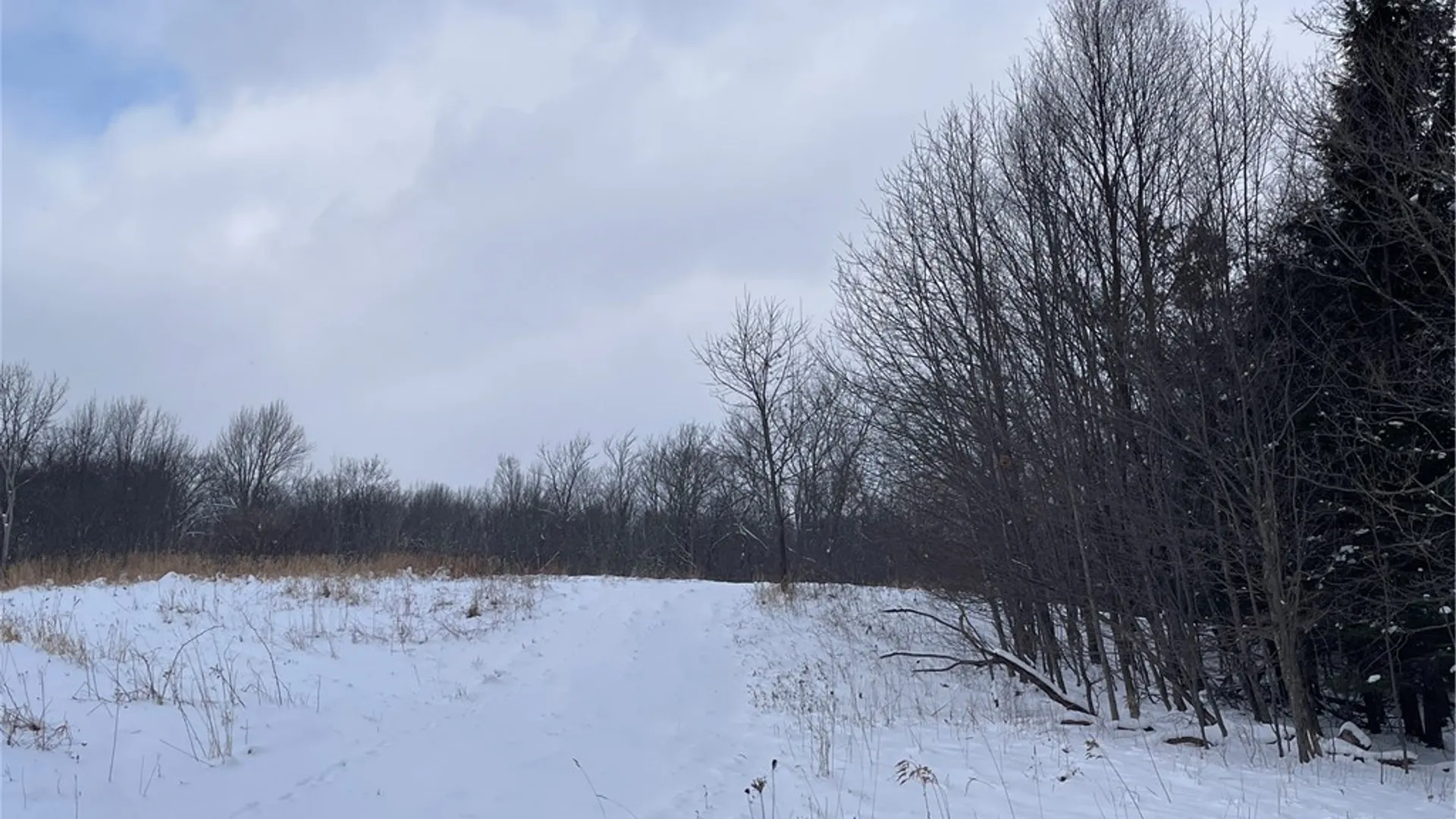 Property at State Route 10, Jefferson, NY 12093 13