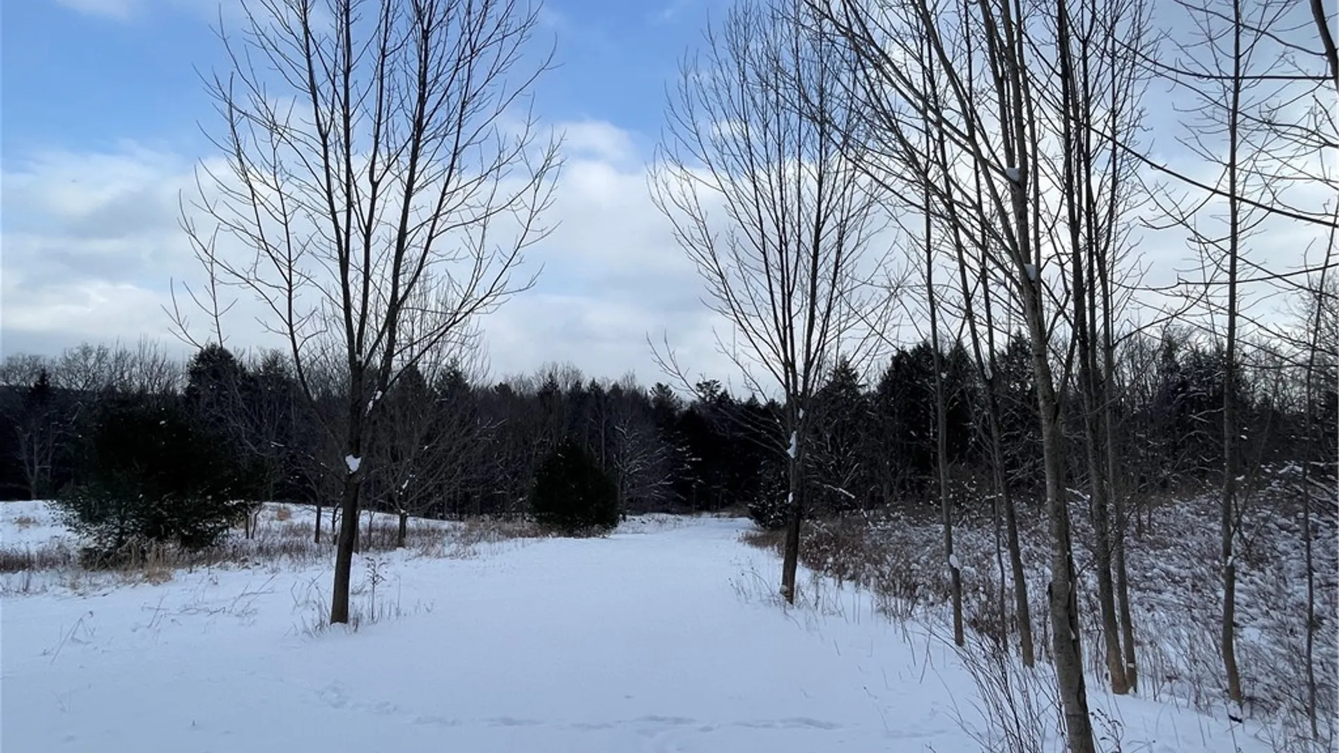 Property at State Route 10, Jefferson, NY 12093 2