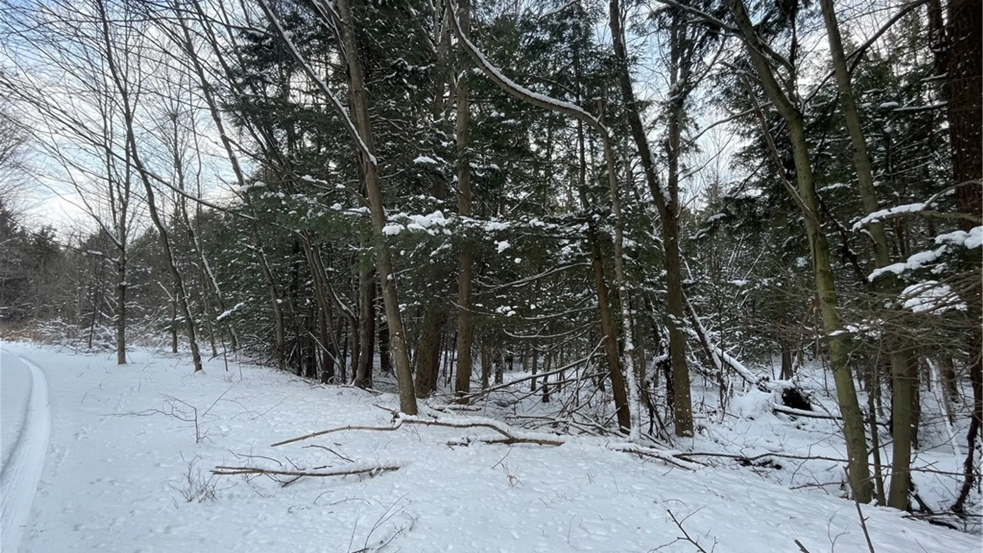 Property at State Route 10, Jefferson, NY 12093 4