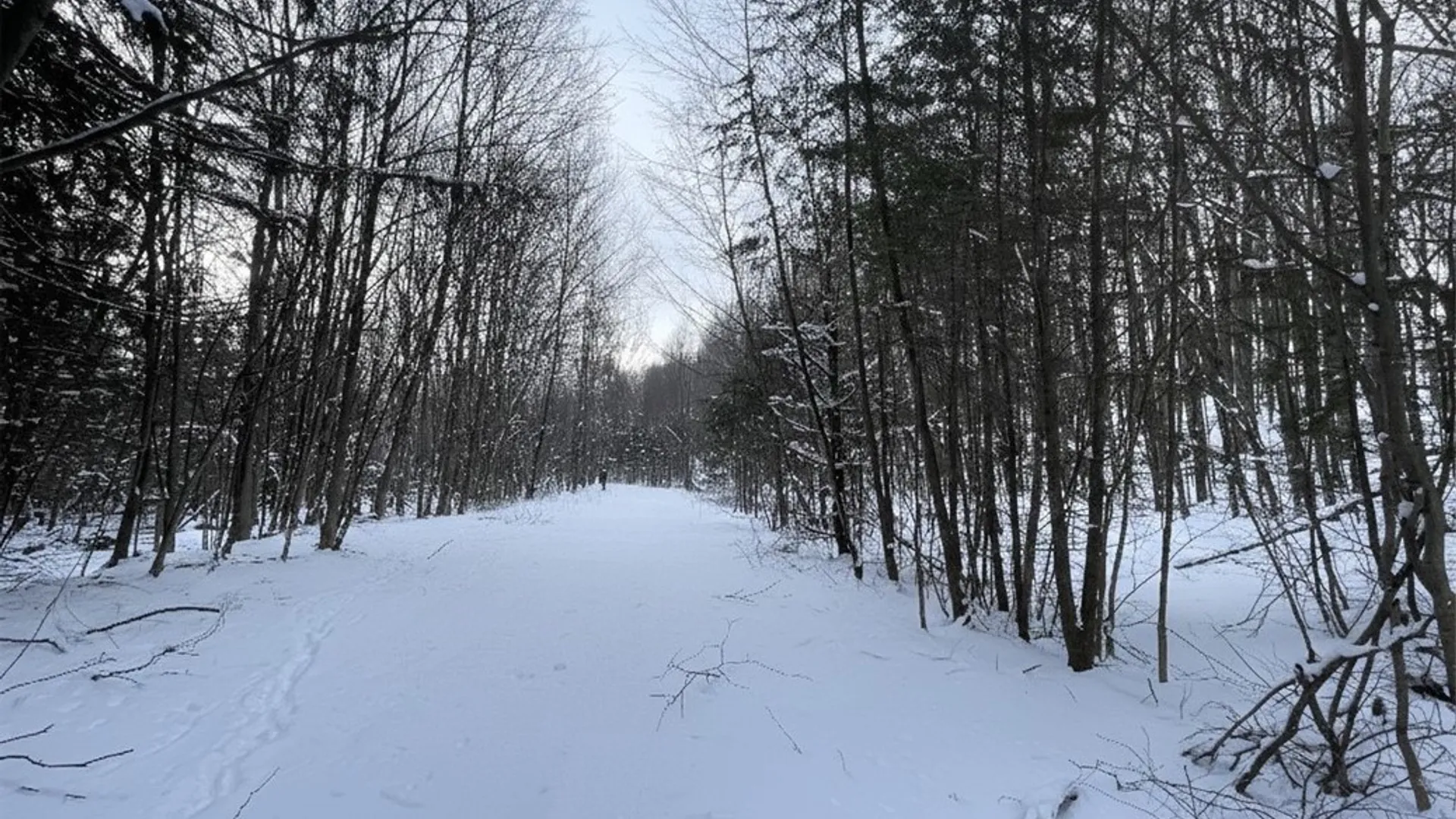 Property at State Route 10, Jefferson, NY 12093 5