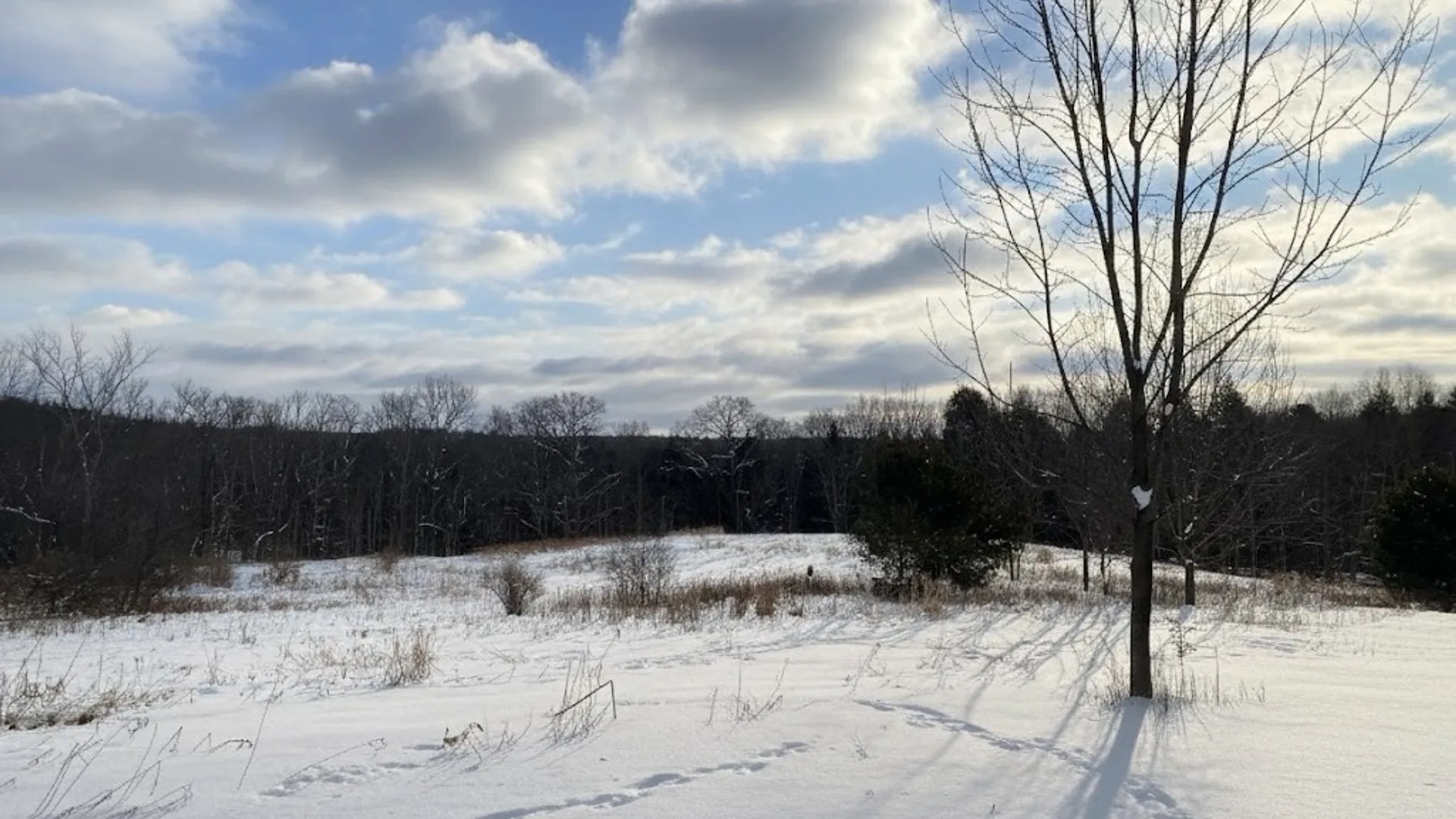 Property at State Route 10, Jefferson, NY 12093 6