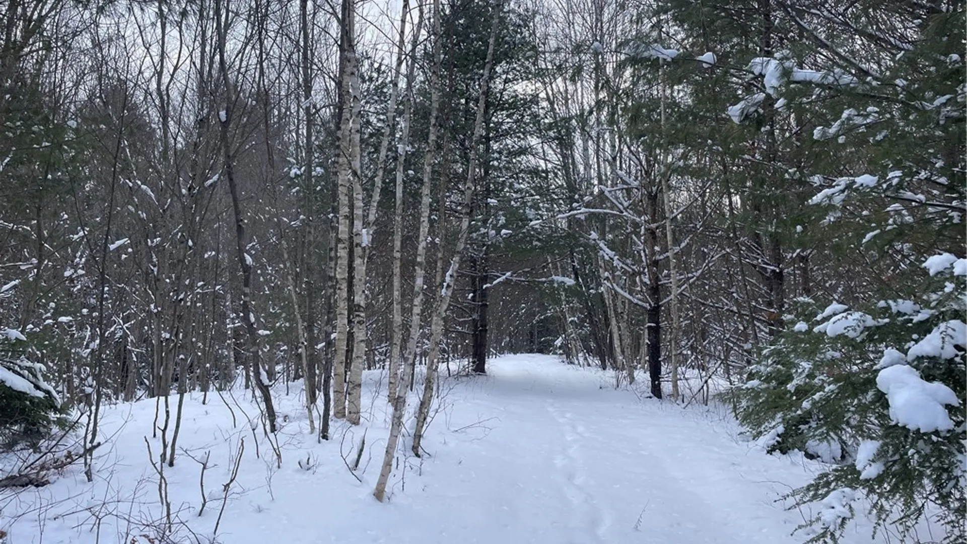 Property at State Route 10, Jefferson, NY 12093 7