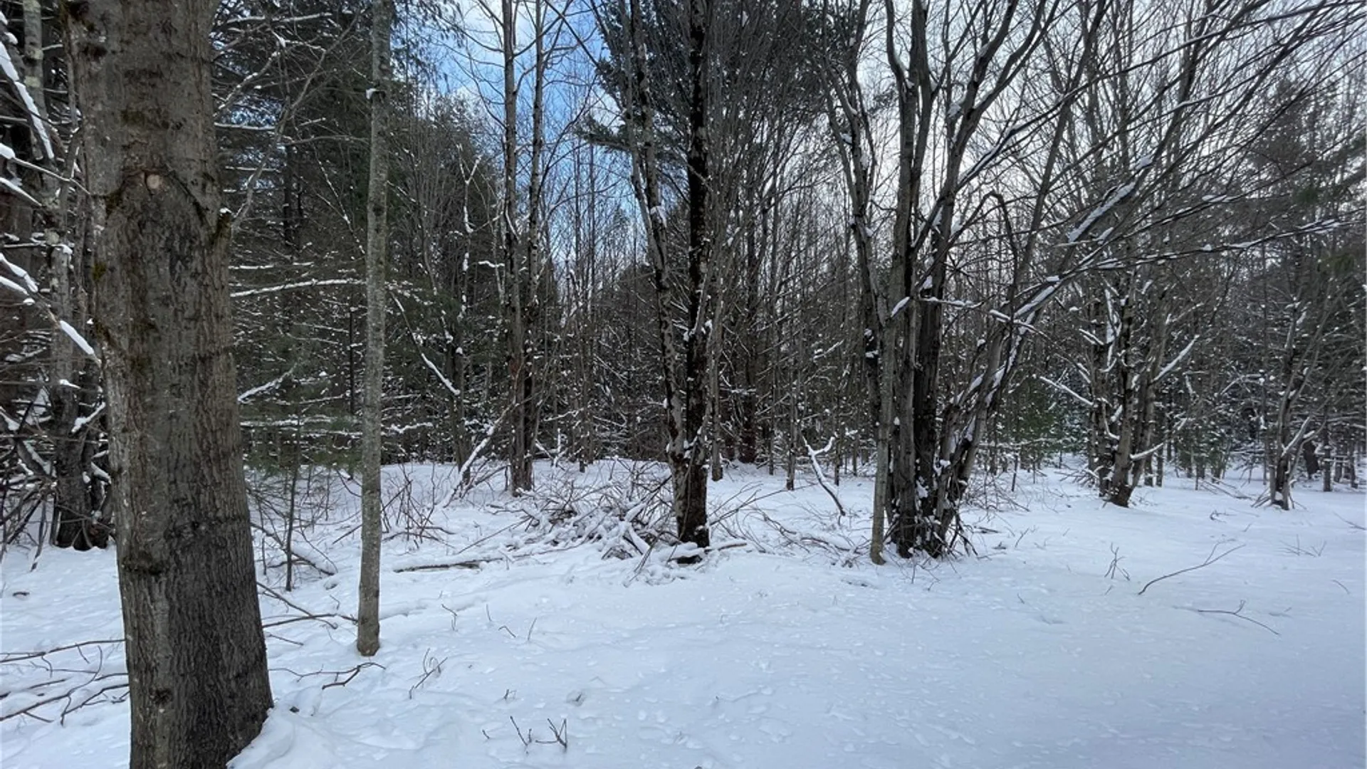 Property at State Route 10, Jefferson, NY 12093 8