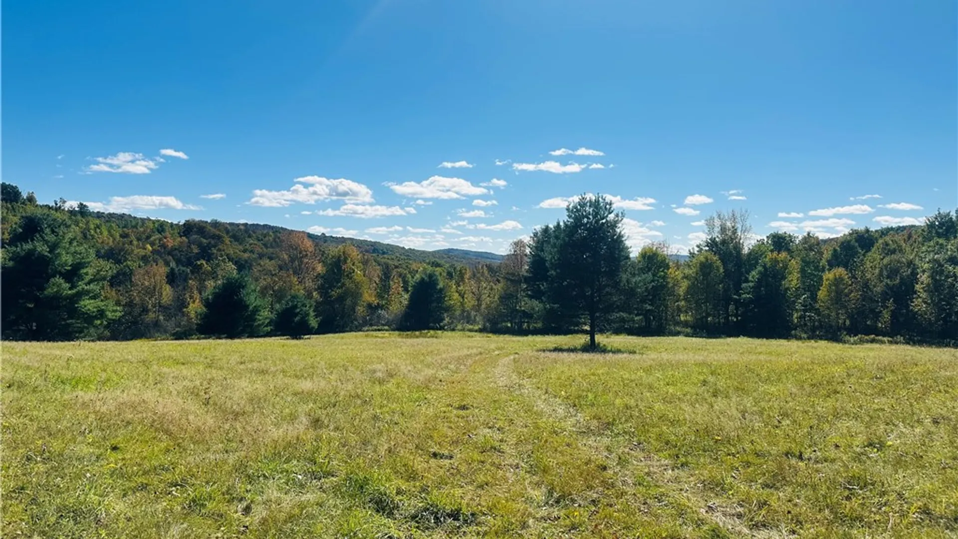 Property at Gallop Hill Road, Sidney, NY 13838 10