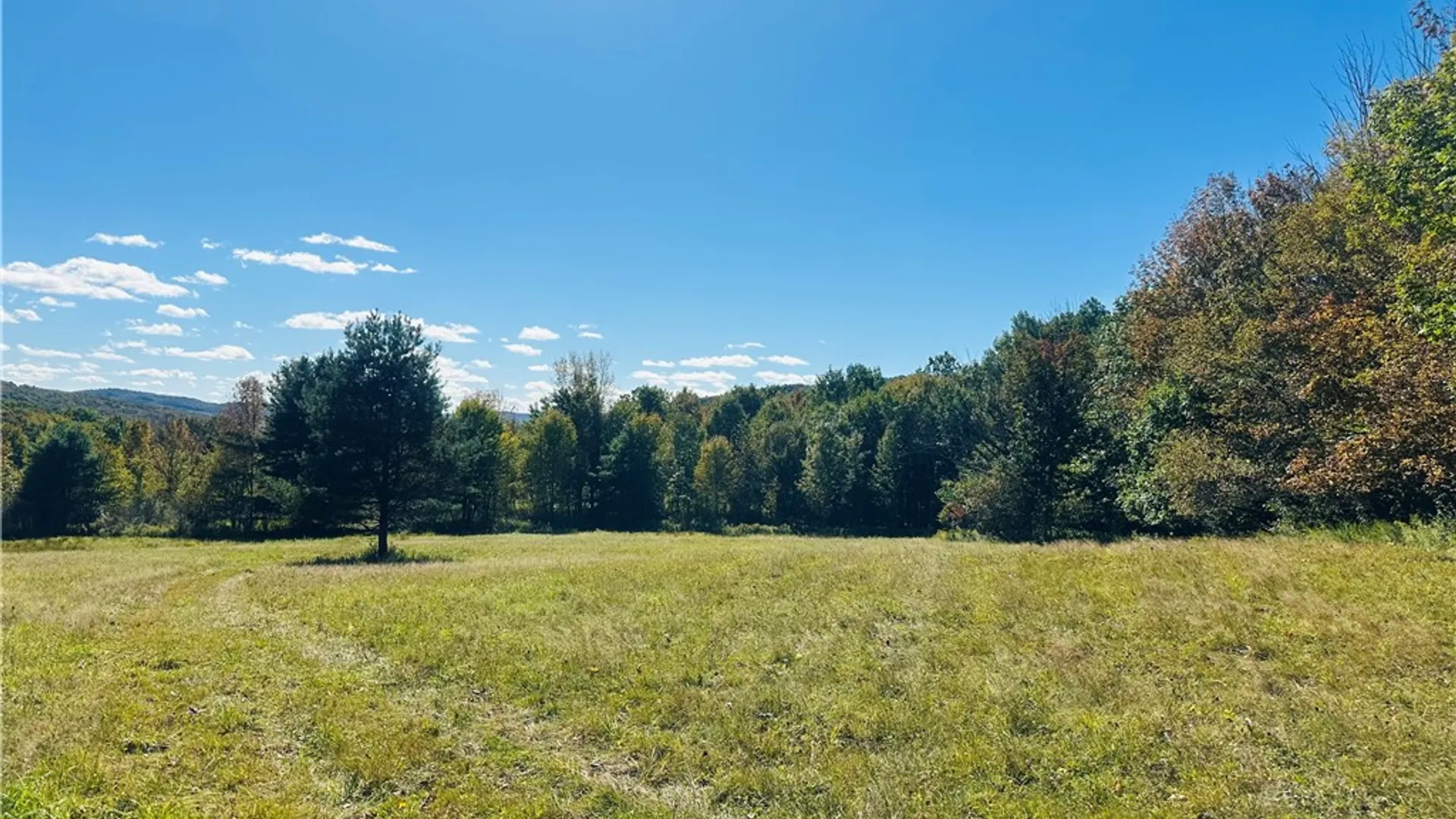 Property at Gallop Hill Road, Sidney, NY 13838 11