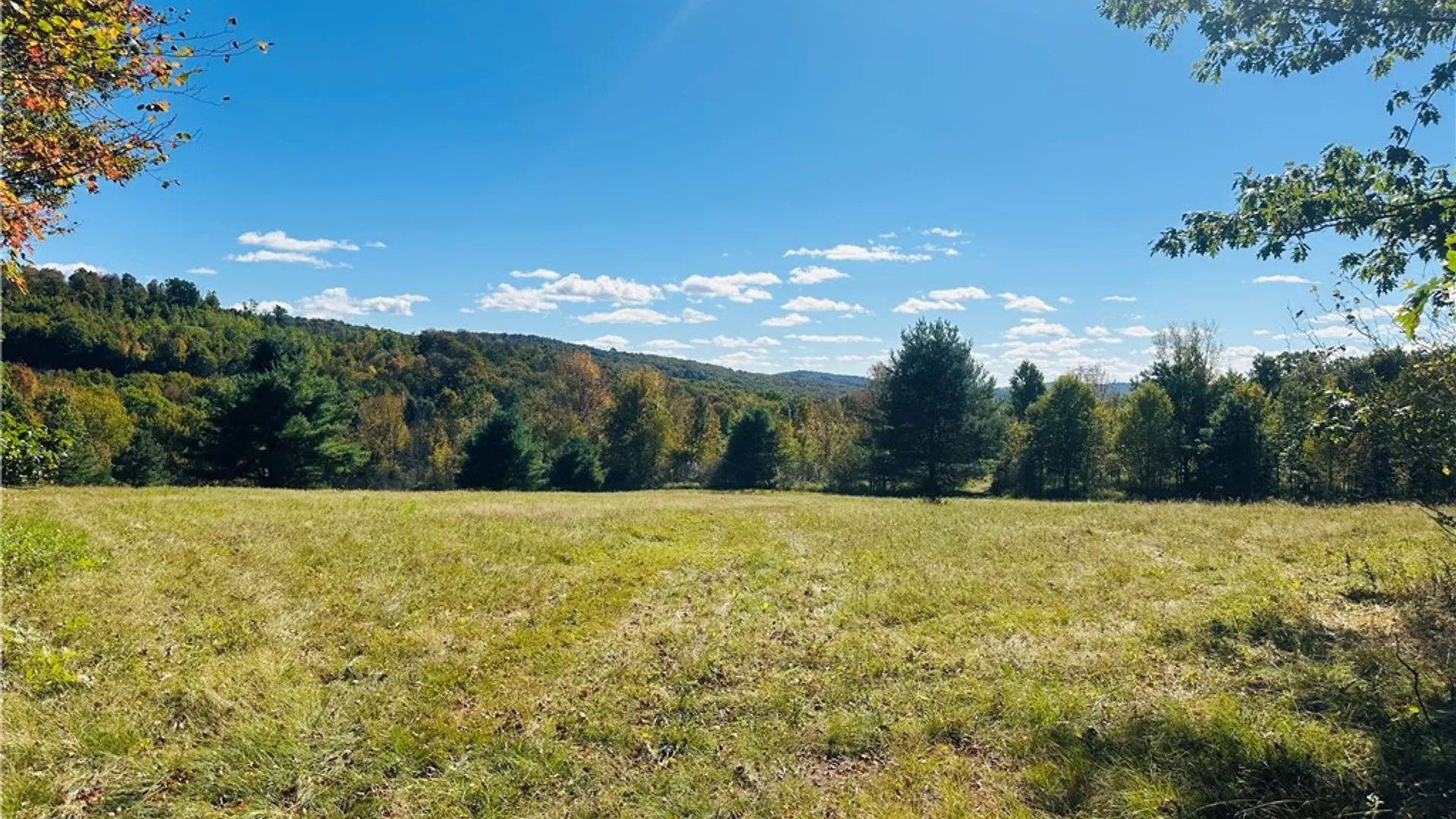 Property at Gallop Hill Road, Sidney, NY 13838 12