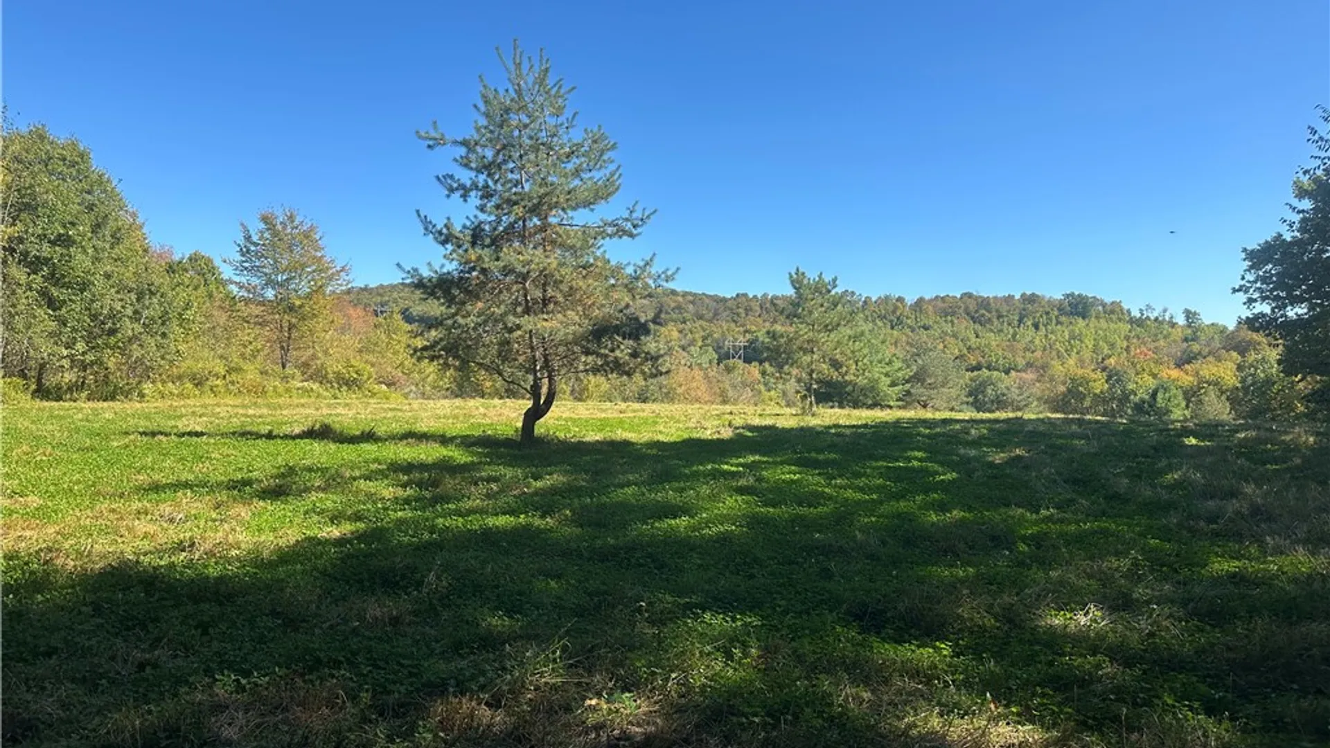 Property at Gallop Hill Road, Sidney, NY 13838 13