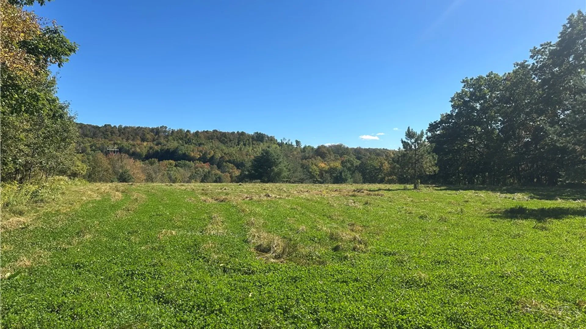 Property at Gallop Hill Road, Sidney, NY 13838 15