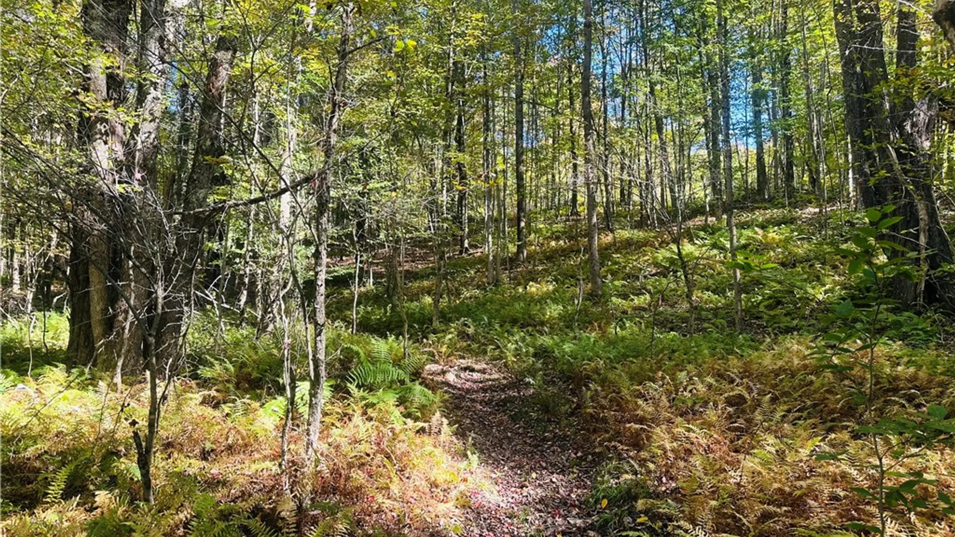 Property at Gallop Hill Road, Sidney, NY 13838 19