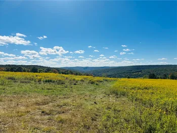 Property at Gallop Hill Road, Sidney, NY 13838