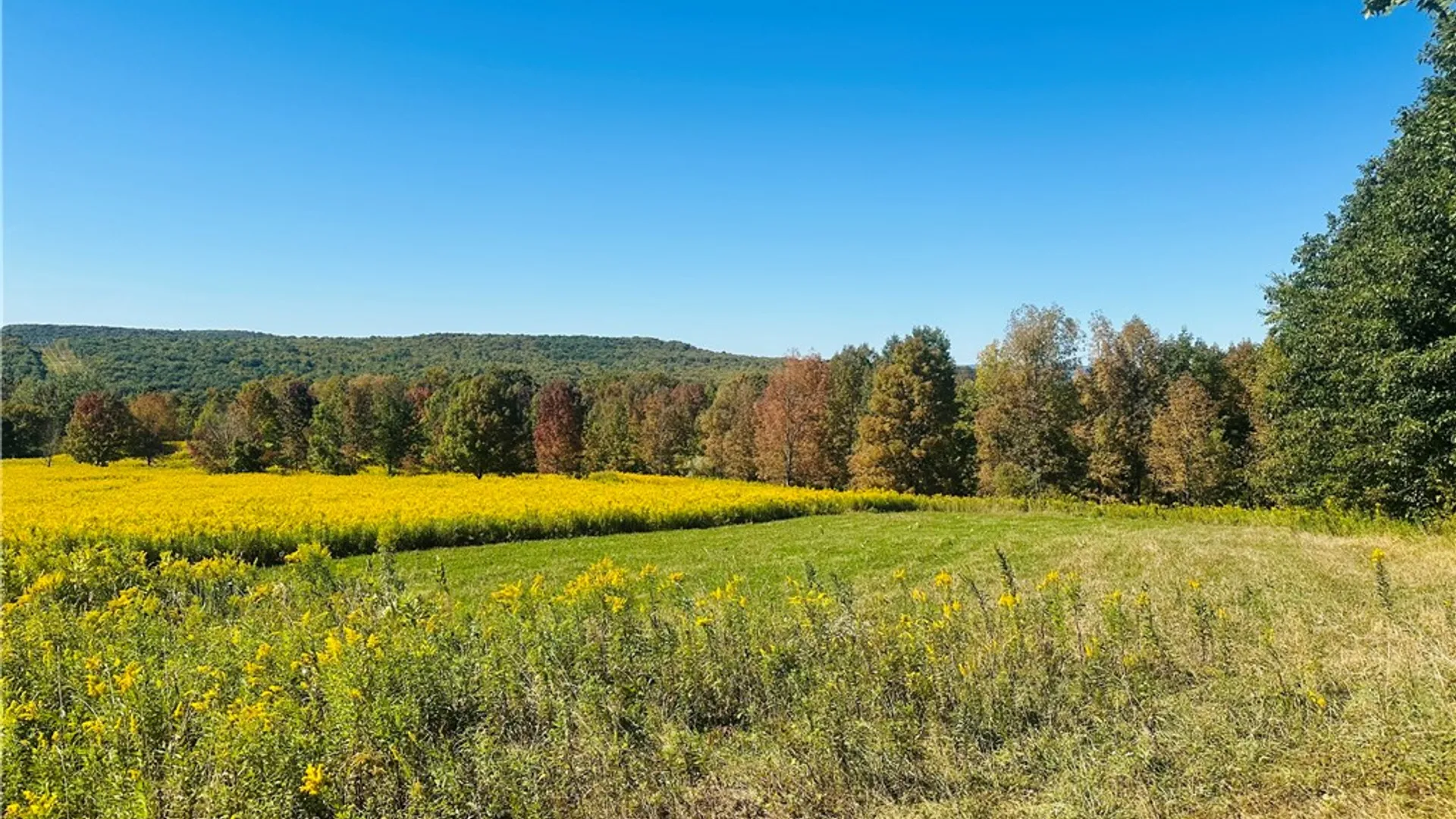 Property at Gallop Hill Road, Sidney, NY 13838 2