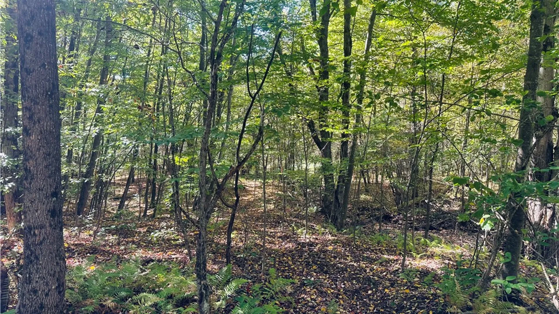 Property at Gallop Hill Road, Sidney, NY 13838 20