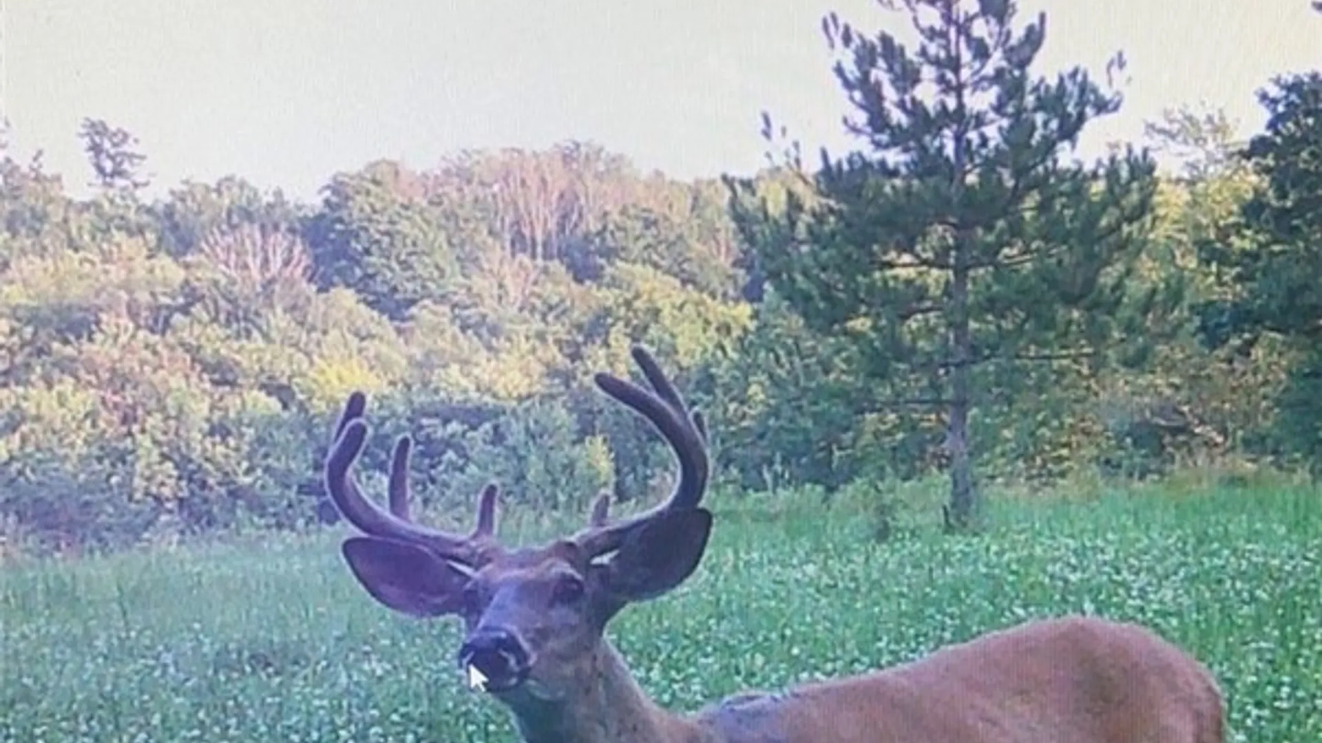 Property at Gallop Hill Road, Sidney, NY 13838 23