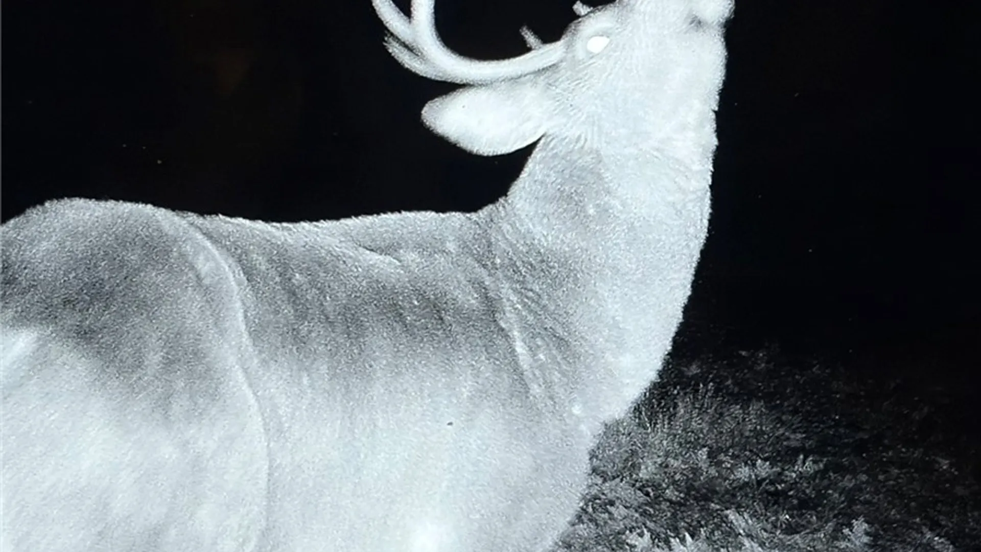 Property at Gallop Hill Road, Sidney, NY 13838 24