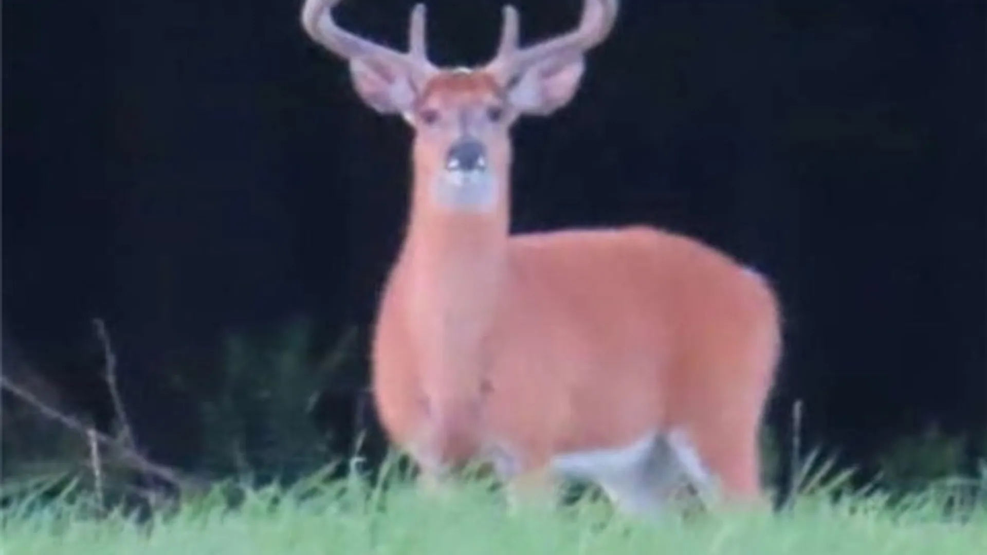 Property at Gallop Hill Road, Sidney, NY 13838 25