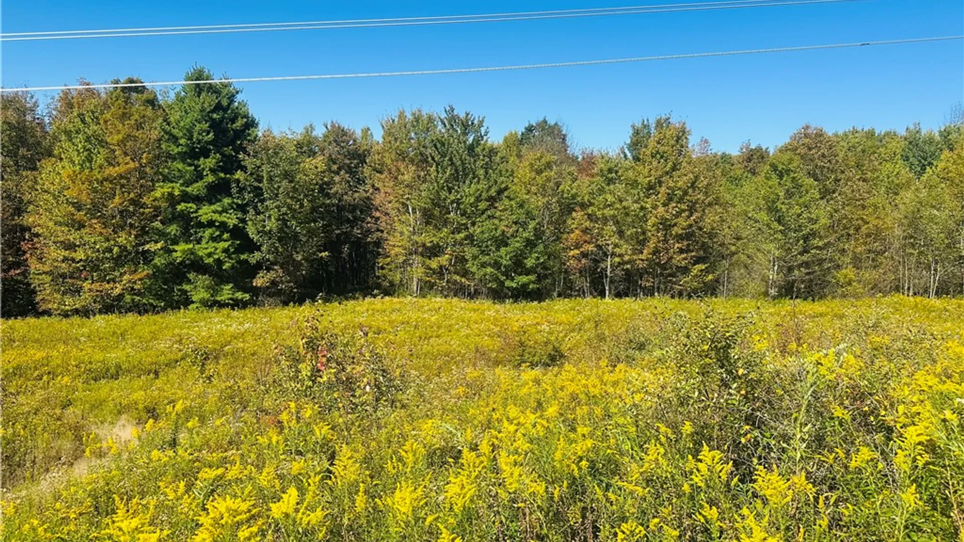 Property at Gallop Hill Road, Sidney, NY 13838 4