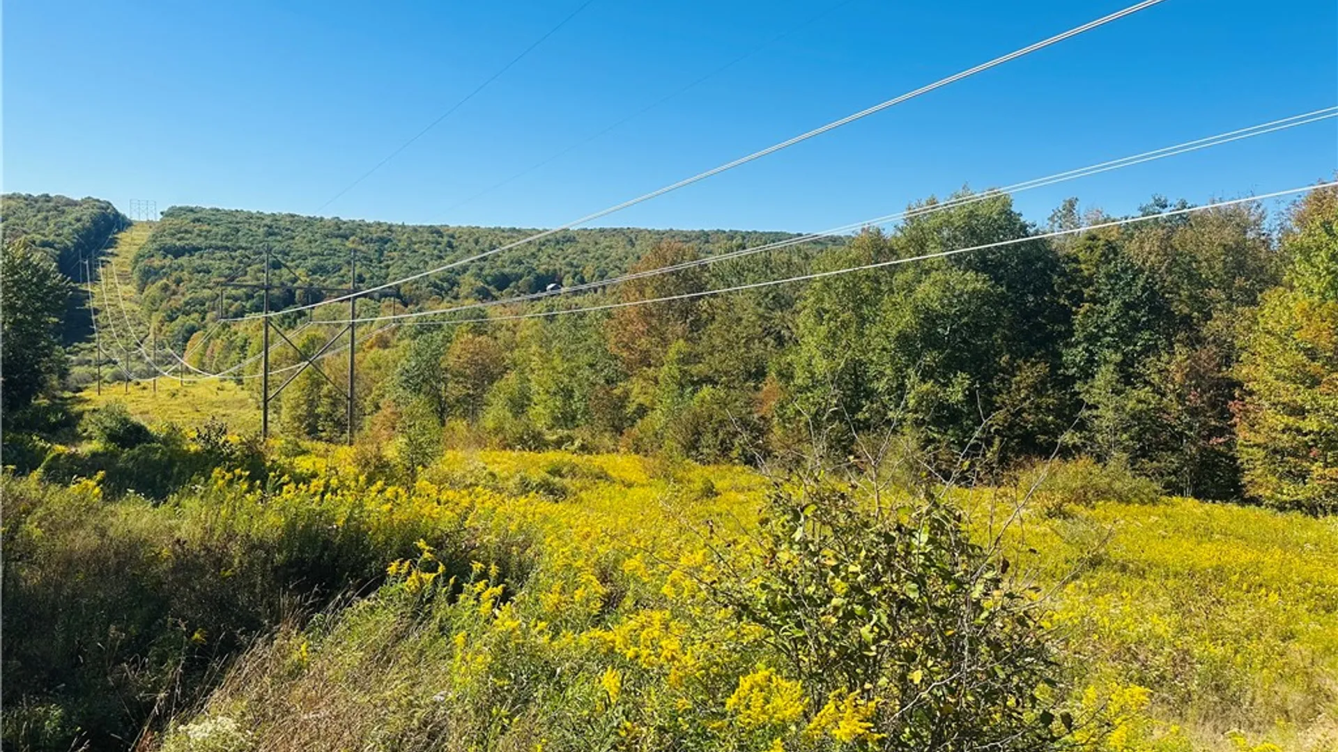 Property at Gallop Hill Road, Sidney, NY 13838 5