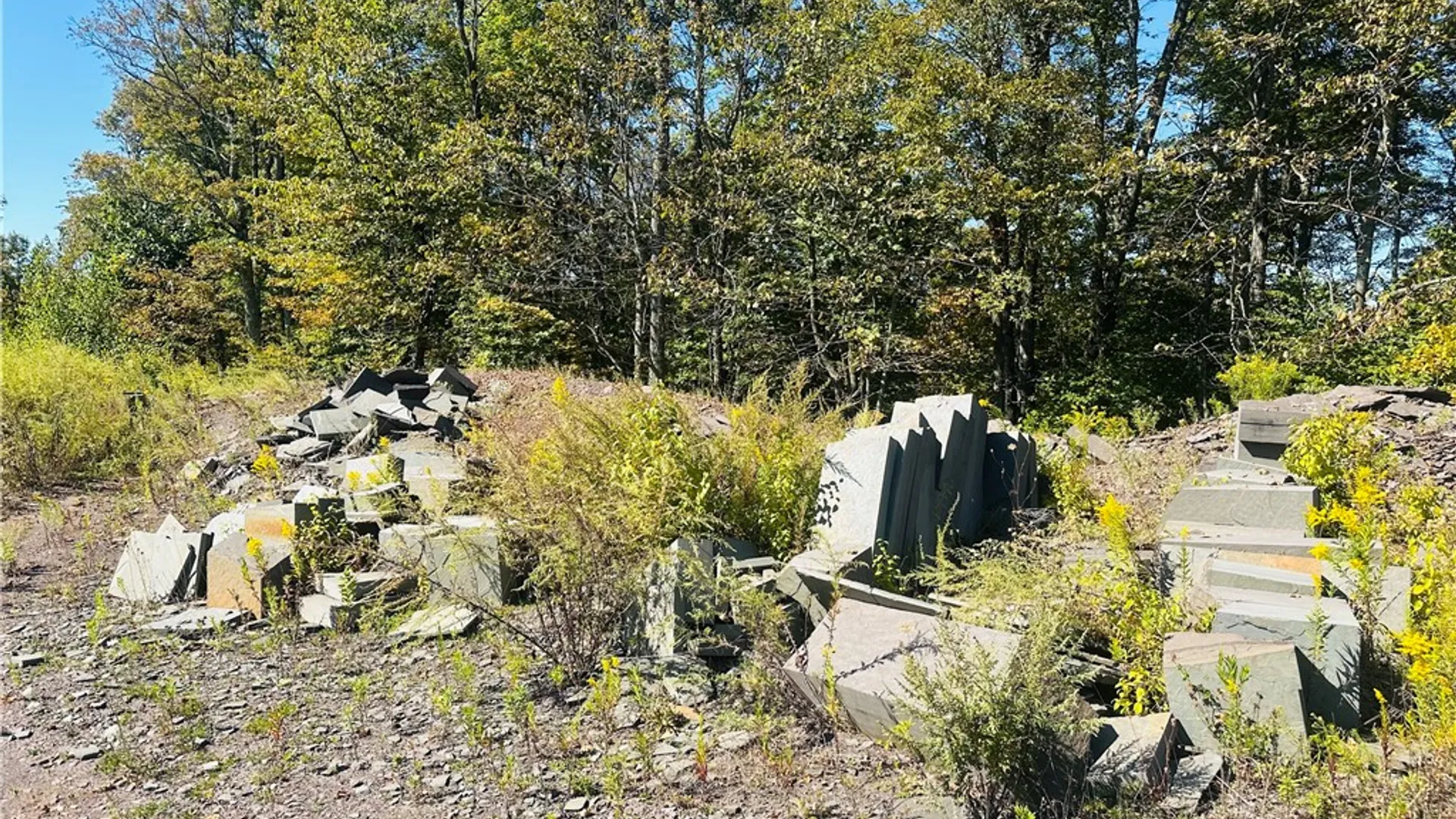 Property at Gallop Hill Road, Sidney, NY 13838 7