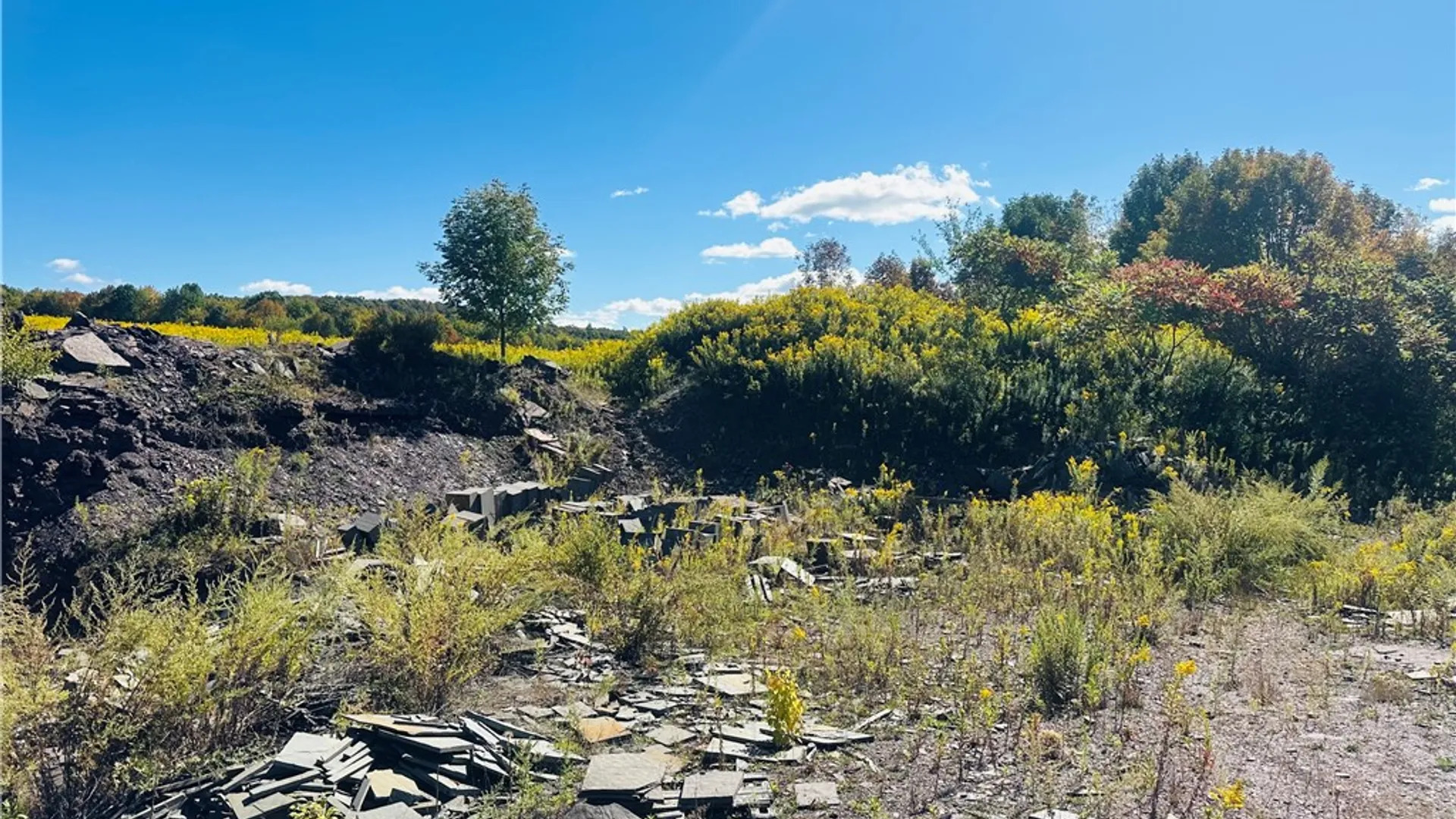 Property at Gallop Hill Road, Sidney, NY 13838 9