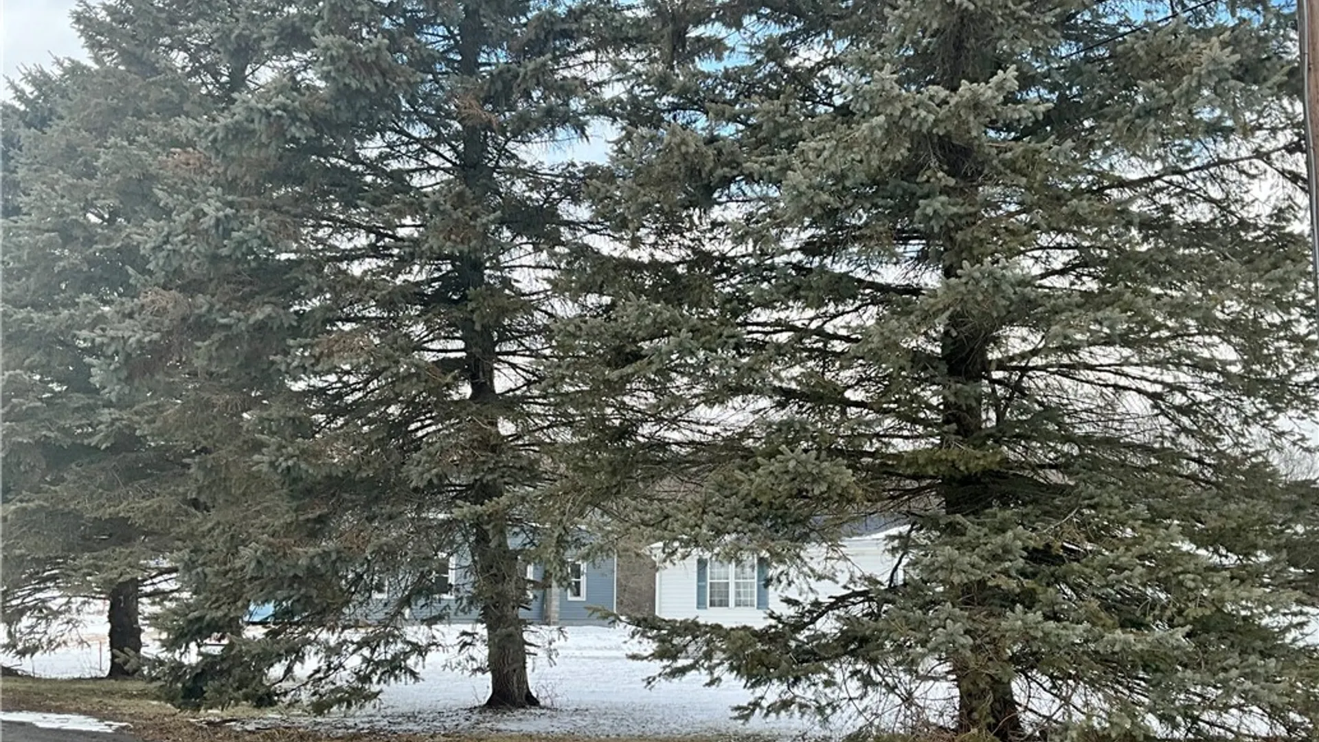 Property at 756 Spring Street Ext, Groton, NY 13073 8