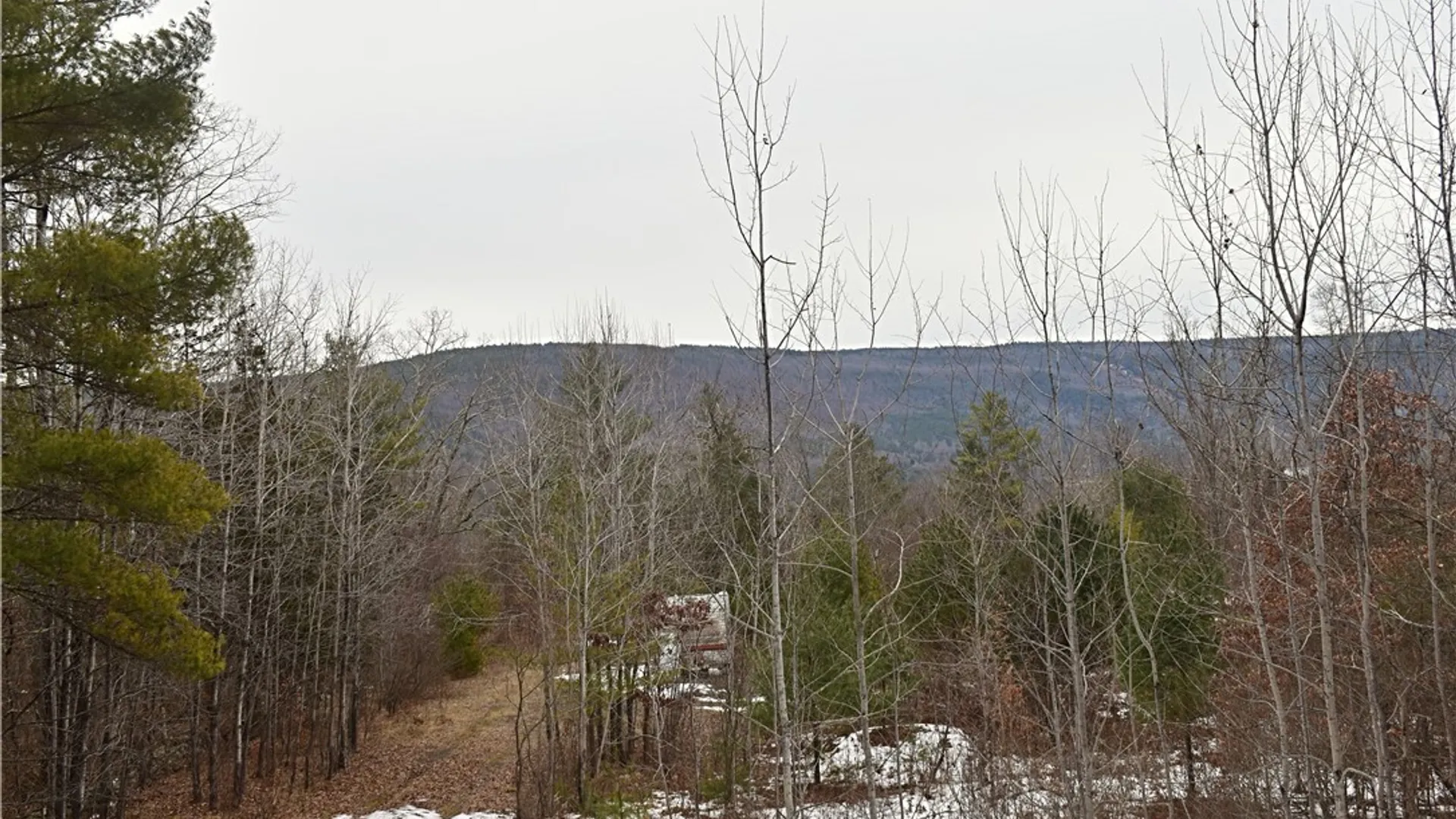 Property at 169 Tae Kwon Road, Blenheim, NY 12131 4