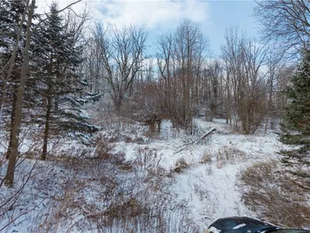 Property at Sheldon Road, Farmington, NY 14522