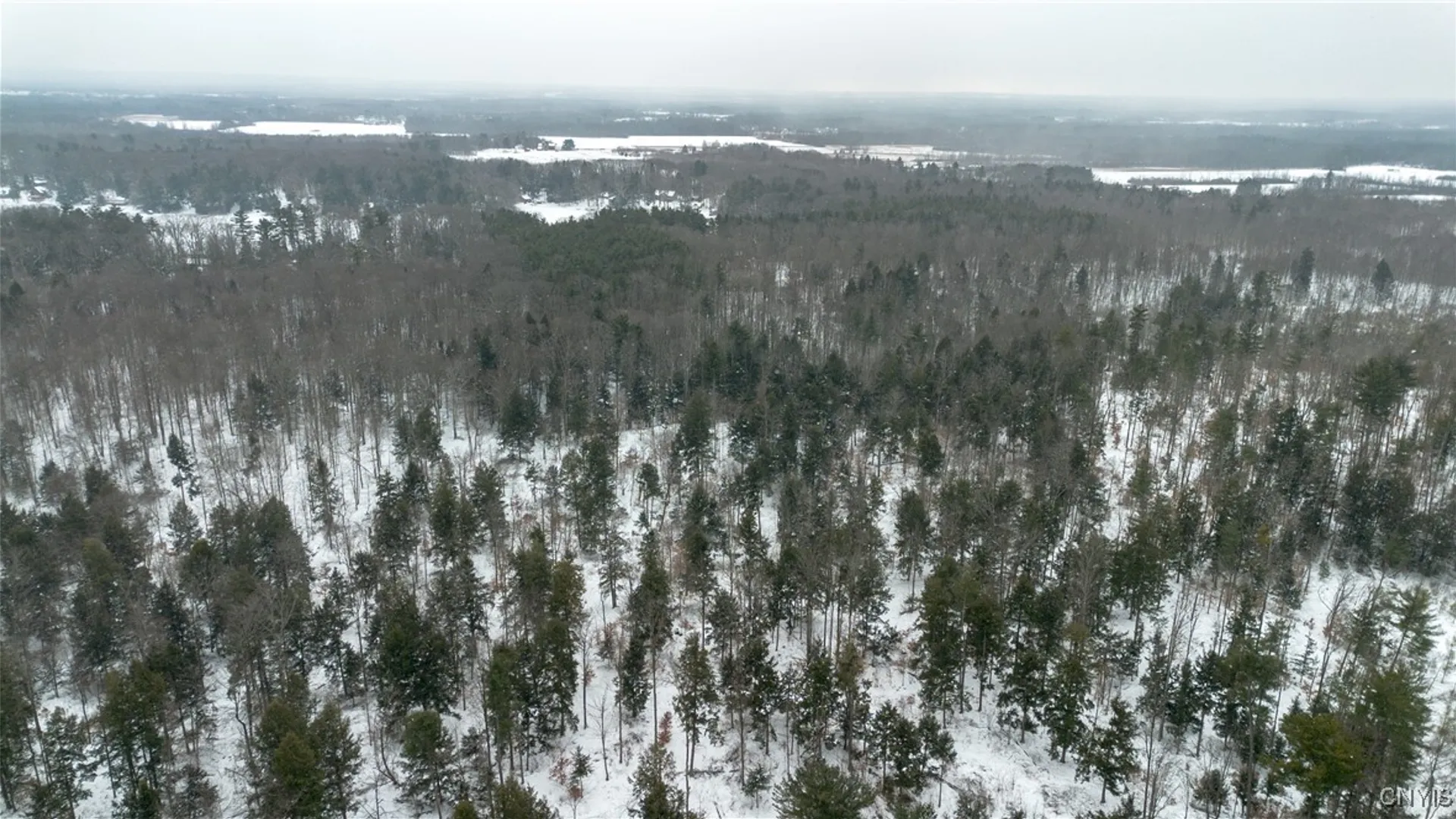 Property at 00 Co Rt 10, Schroeppel, NY 13132 5